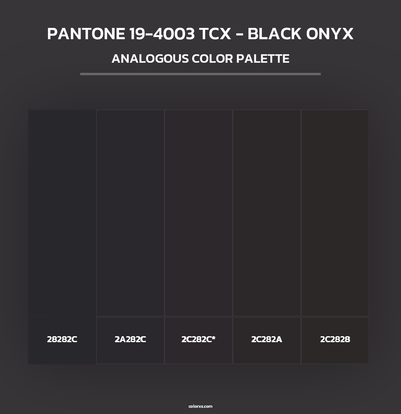 PANTONE 19-4003 TCX - Black Onyx - Analogous Color Palette