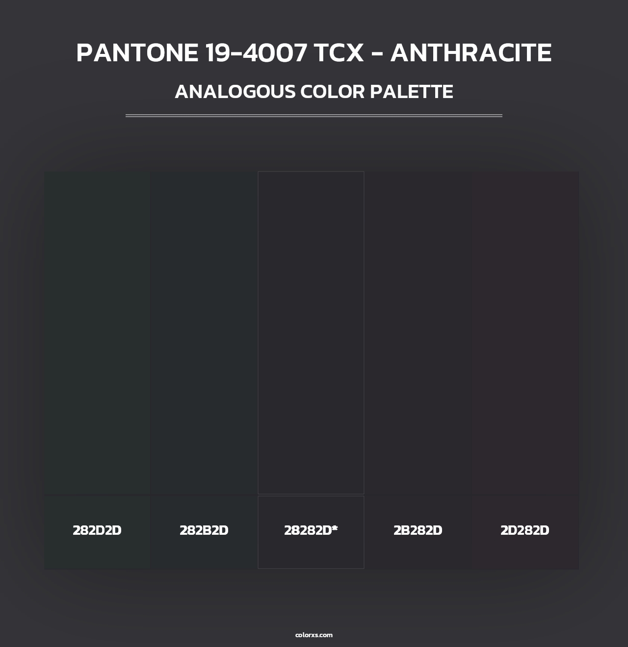 PANTONE 19-4007 TCX - Anthracite - Analogous Color Palette