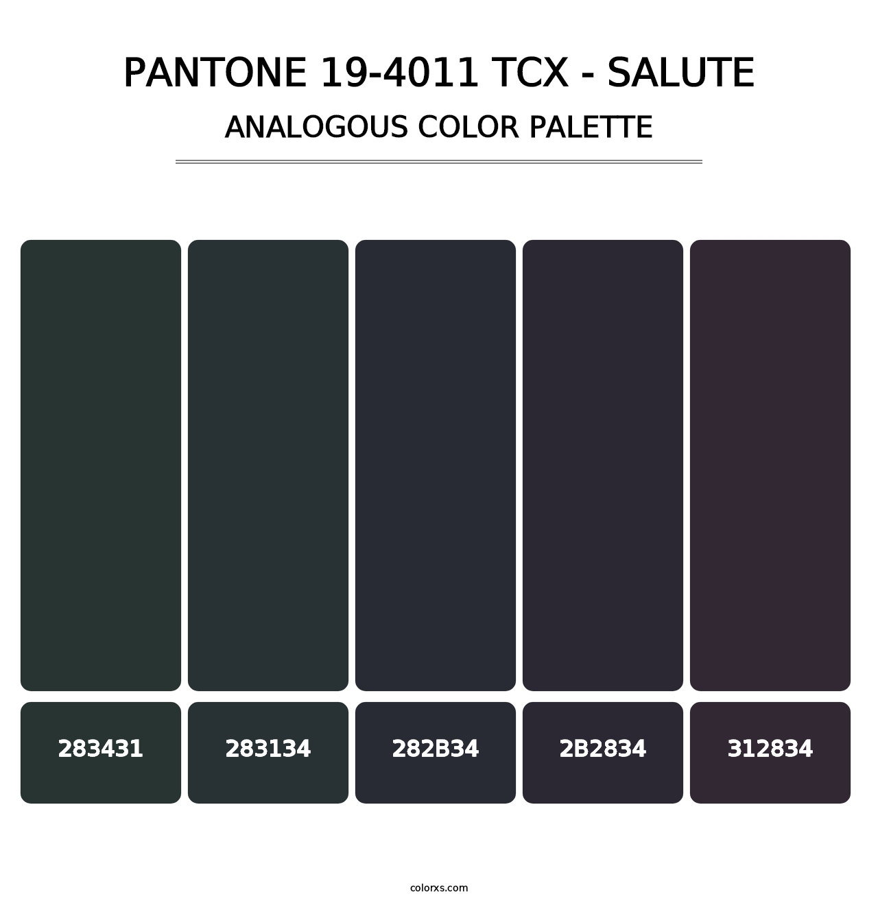 PANTONE 19-4011 TCX - Salute - Analogous Color Palette