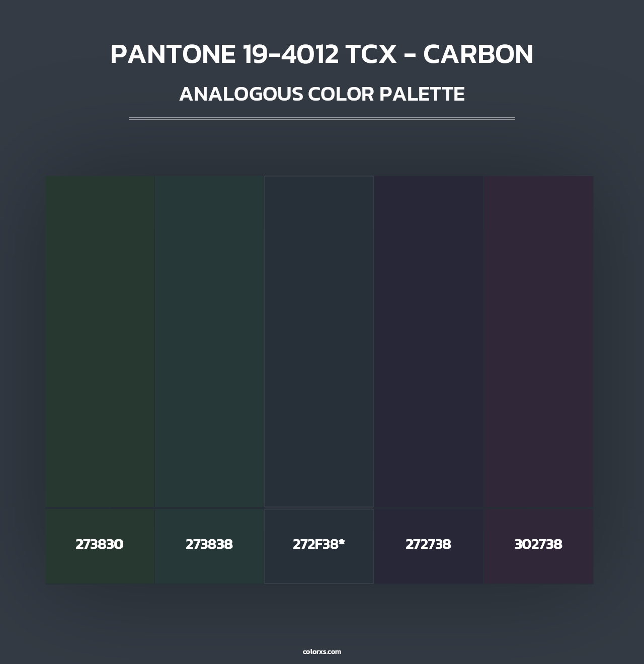 PANTONE 19-4012 TCX - Carbon - Analogous Color Palette