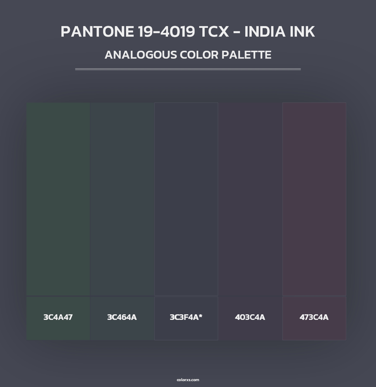 PANTONE 19-4019 TCX - India Ink - Analogous Color Palette