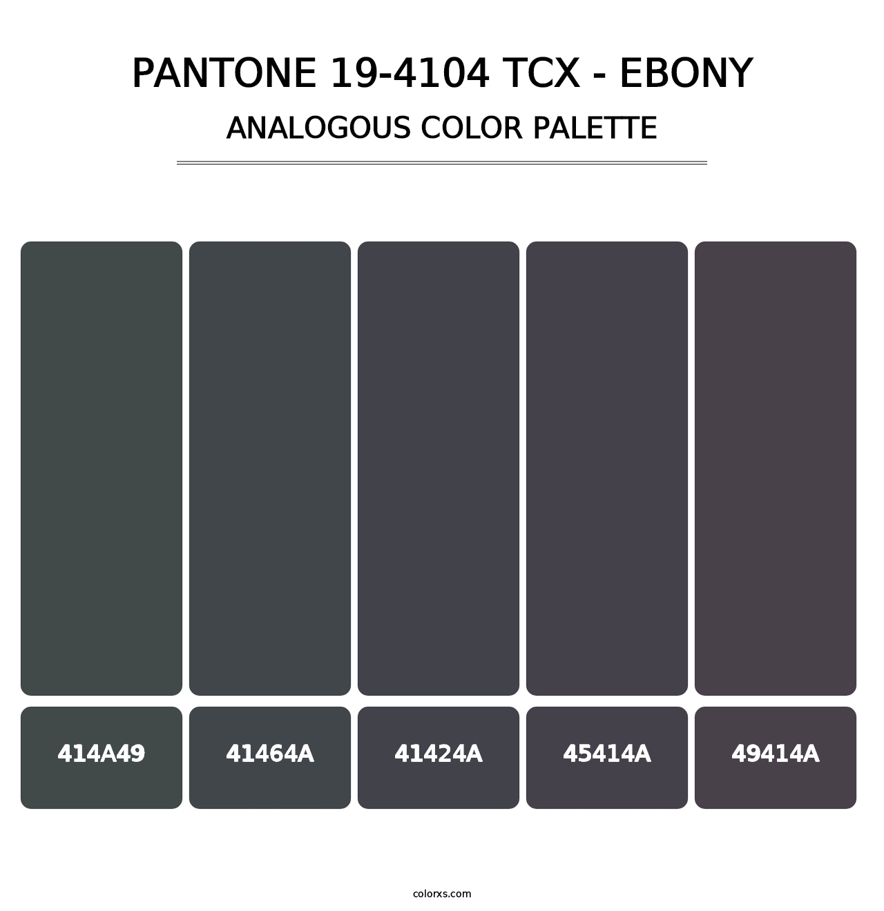 PANTONE 19-4104 TCX - Ebony - Analogous Color Palette