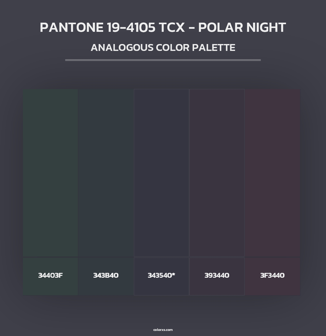 PANTONE 19-4105 TCX - Polar Night - Analogous Color Palette