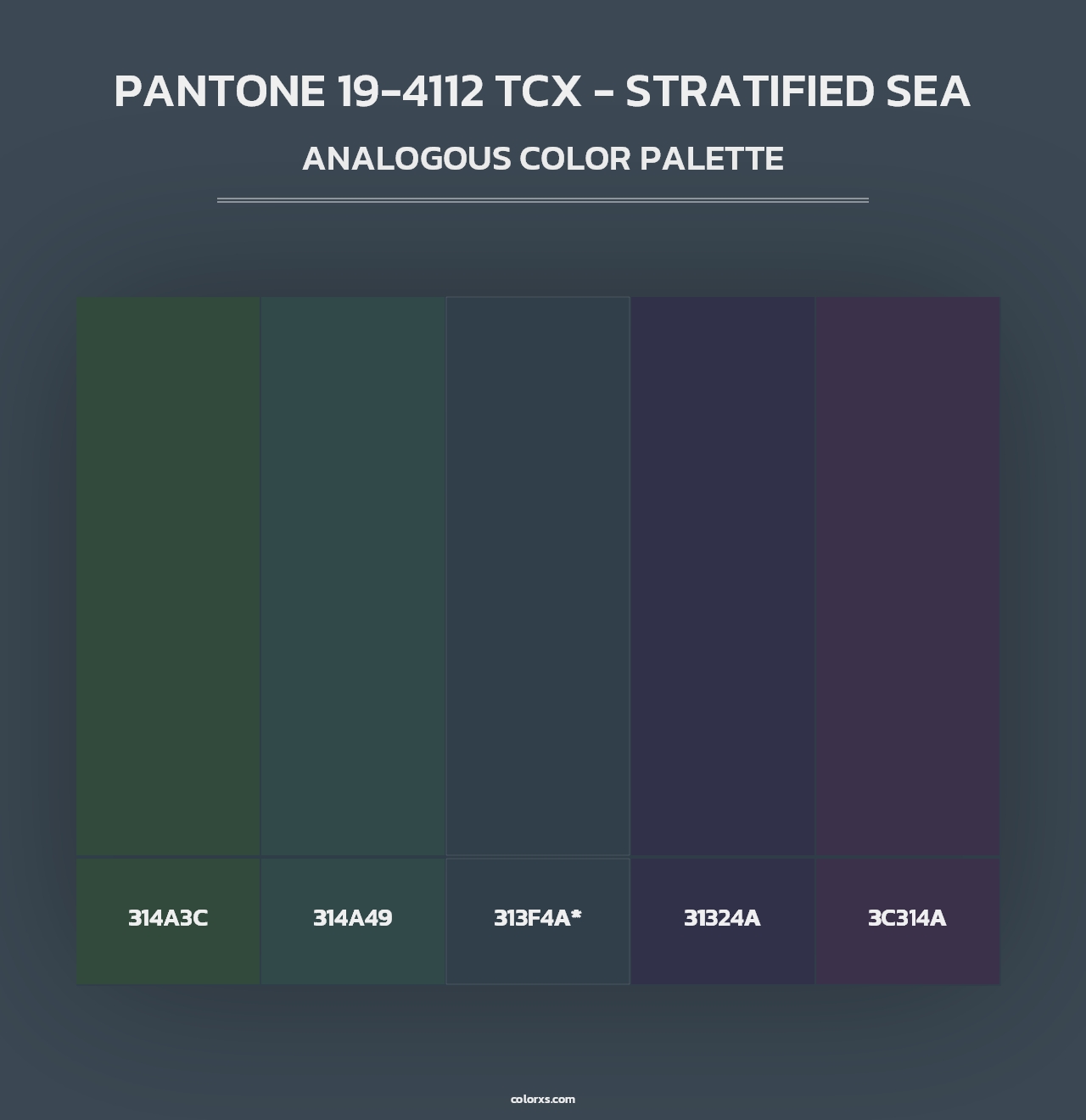 PANTONE 19-4112 TCX - Stratified Sea - Analogous Color Palette