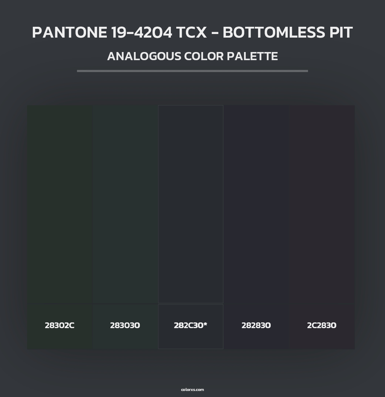 PANTONE 19-4204 TCX - Bottomless Pit - Analogous Color Palette