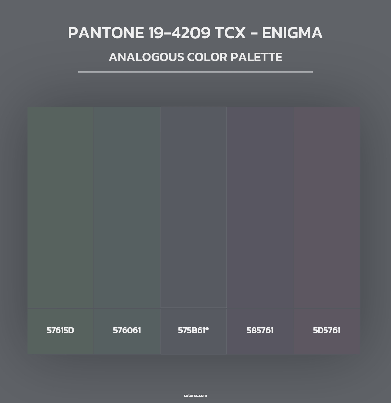 PANTONE 19-4209 TCX - Enigma - Analogous Color Palette