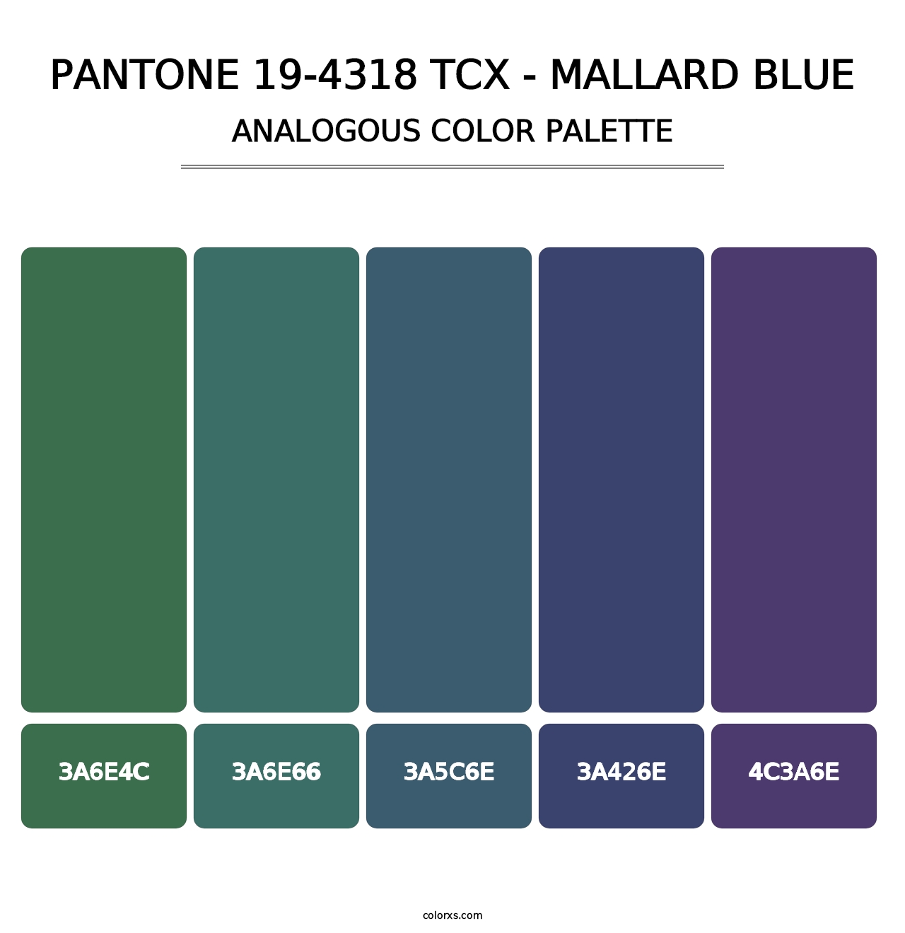 PANTONE 19-4318 TCX - Mallard Blue - Analogous Color Palette