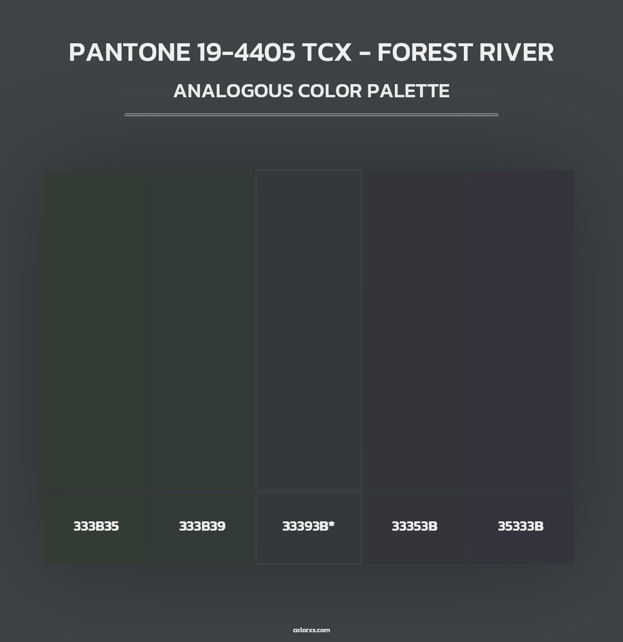 PANTONE 19-4405 TCX - Forest River - Analogous Color Palette