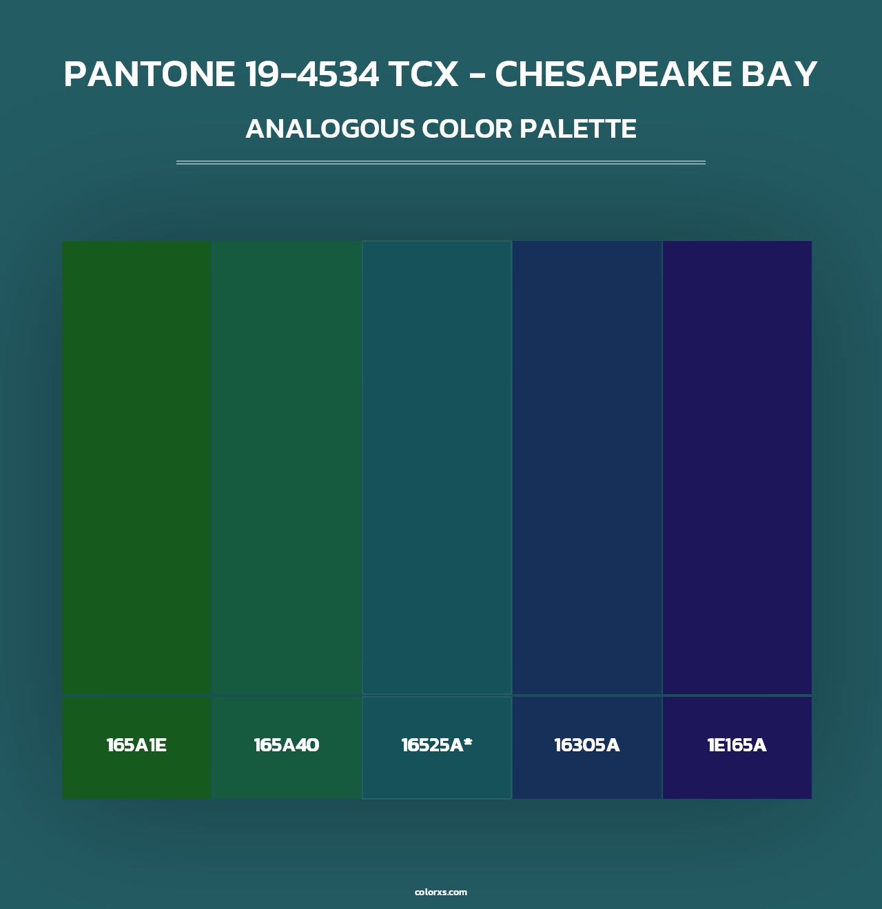 PANTONE 19-4534 TCX - Chesapeake Bay - Analogous Color Palette