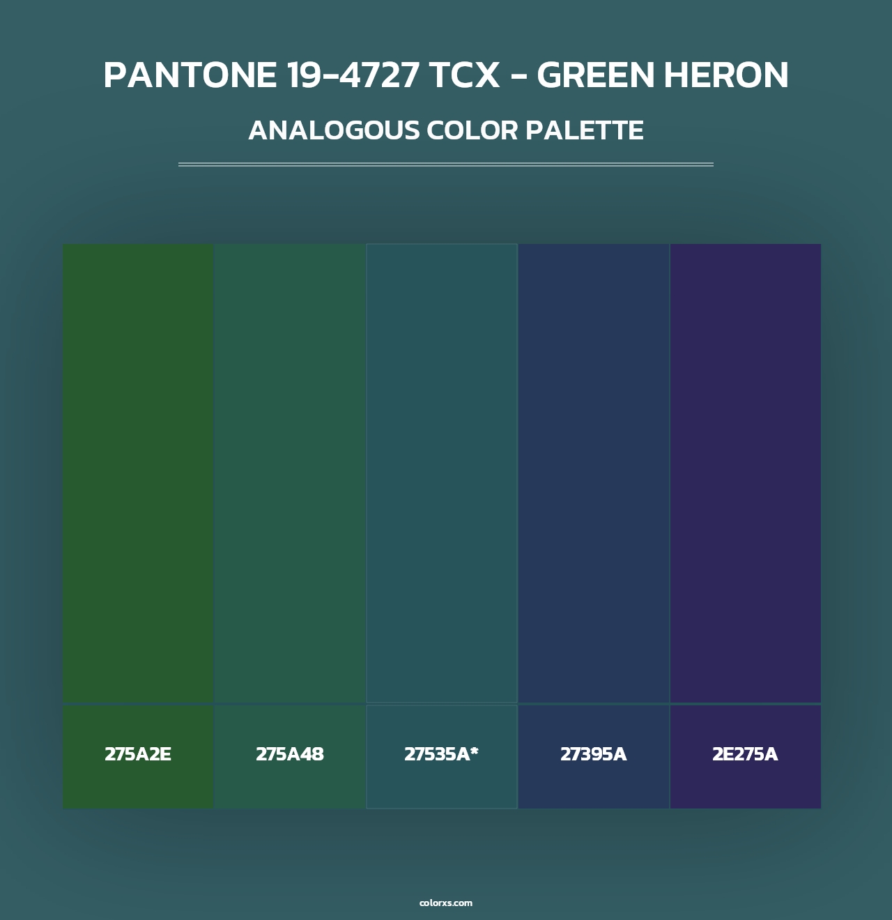 PANTONE 19-4727 TCX - Green Heron - Analogous Color Palette