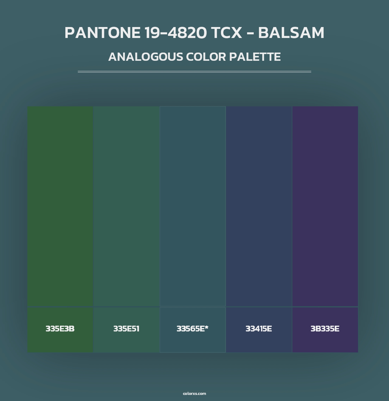 PANTONE 19-4820 TCX - Balsam - Analogous Color Palette