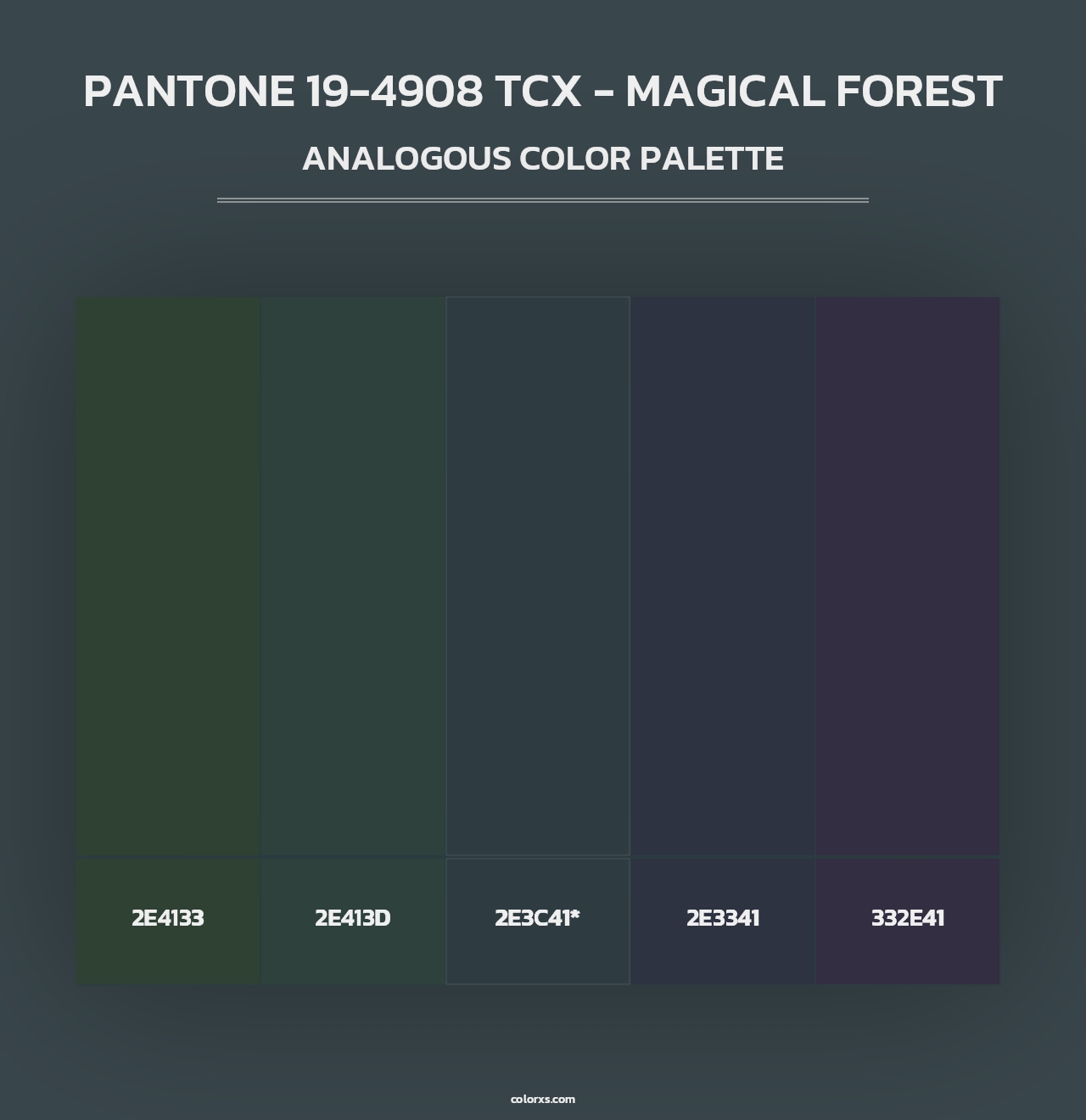 PANTONE 19-4908 TCX - Magical Forest - Analogous Color Palette