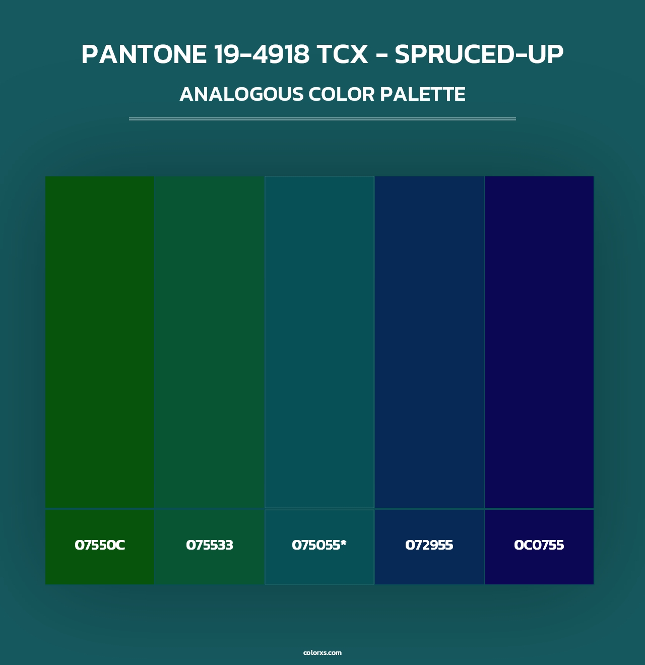 PANTONE 19-4918 TCX - Spruced-up - Analogous Color Palette