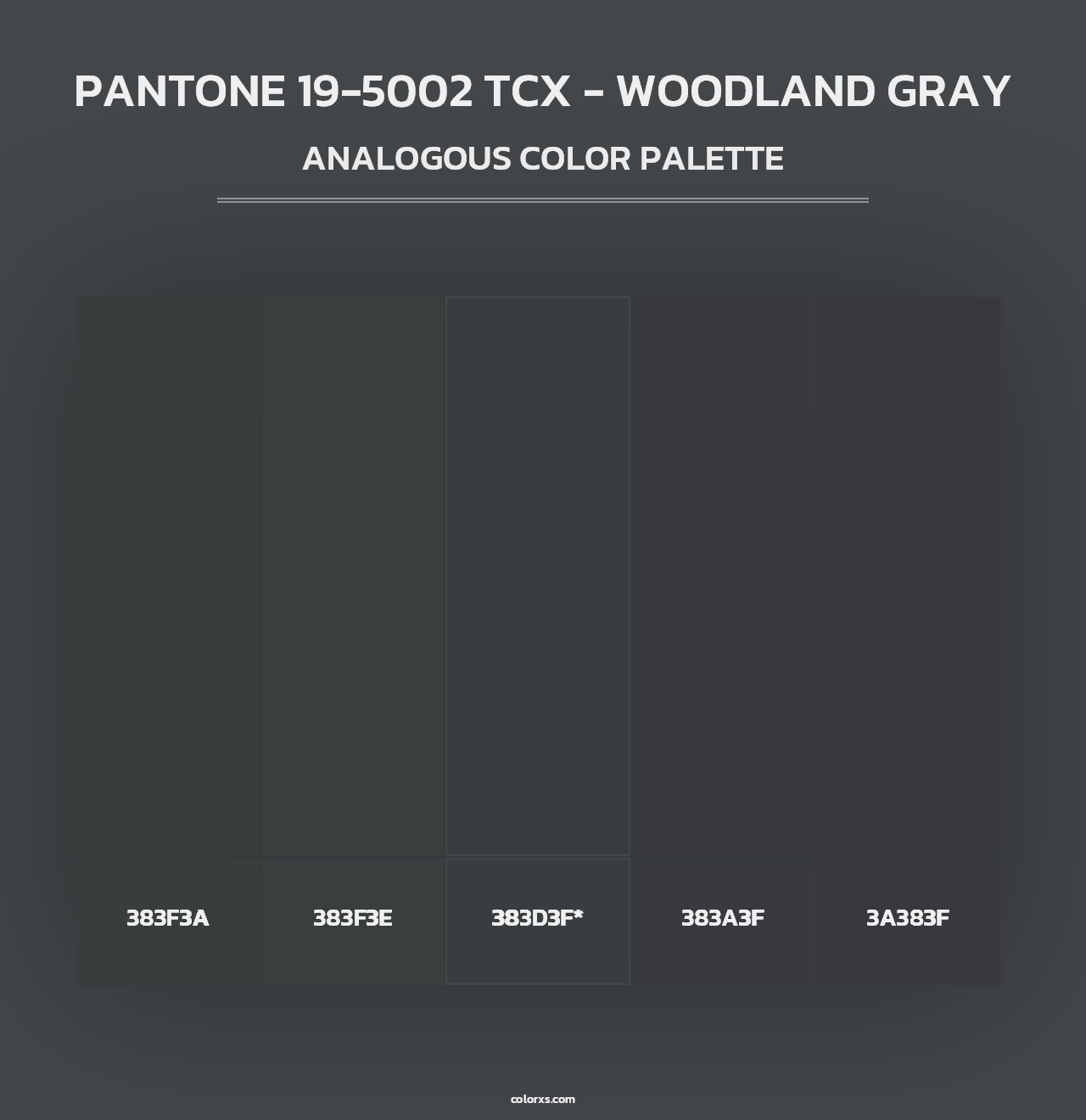 PANTONE 19-5002 TCX - Woodland Gray - Analogous Color Palette