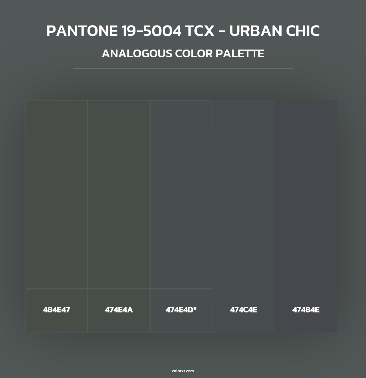 PANTONE 19-5004 TCX - Urban Chic - Analogous Color Palette