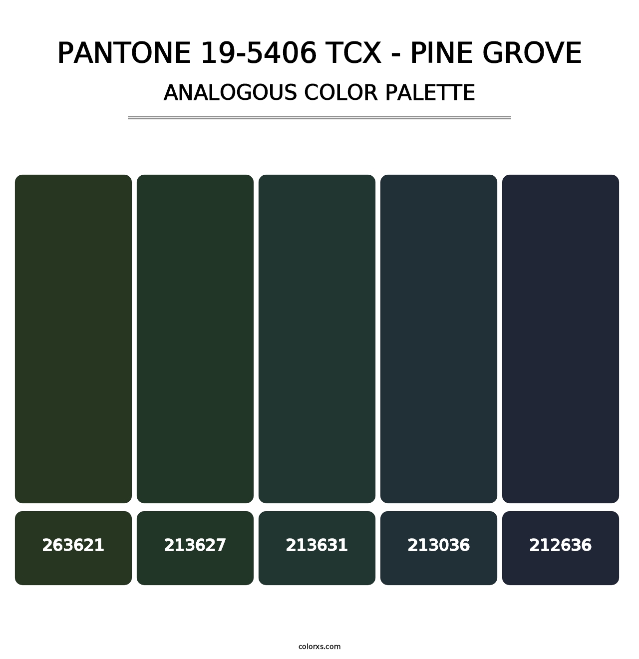 PANTONE 19-5406 TCX - Pine Grove - Analogous Color Palette
