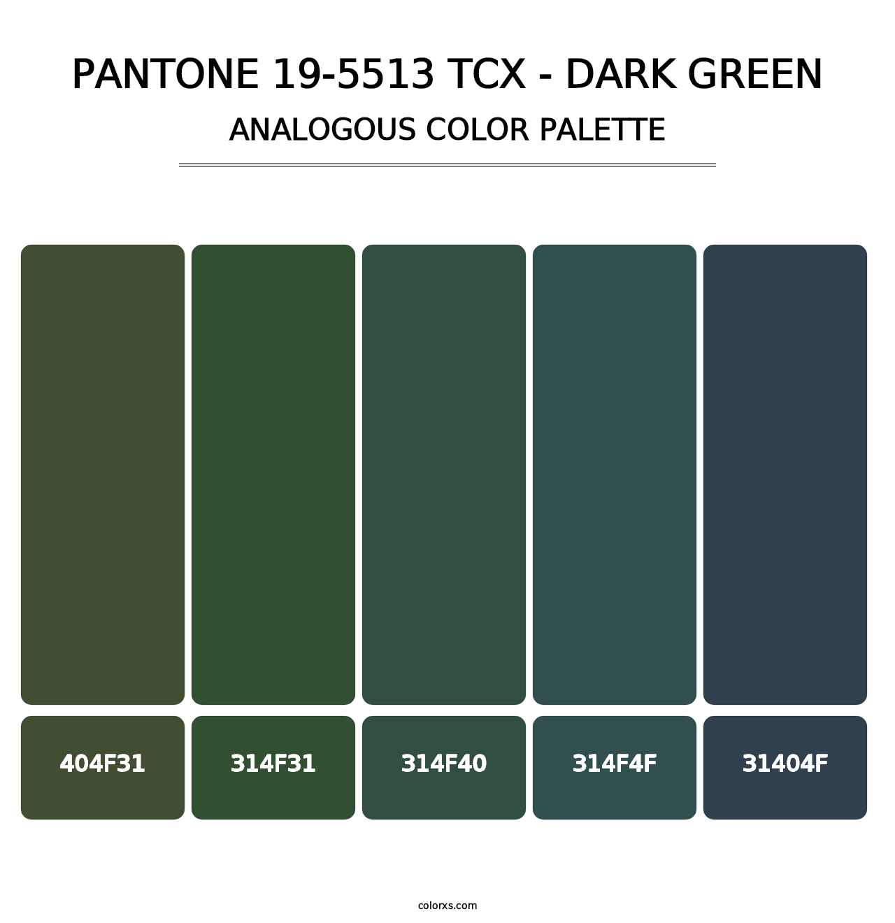 PANTONE 19-5513 TCX - Dark Green - Analogous Color Palette