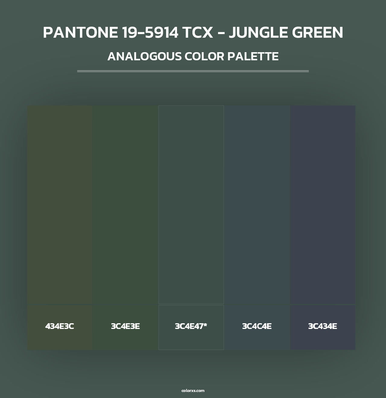 PANTONE 19-5914 TCX - Jungle Green - Analogous Color Palette