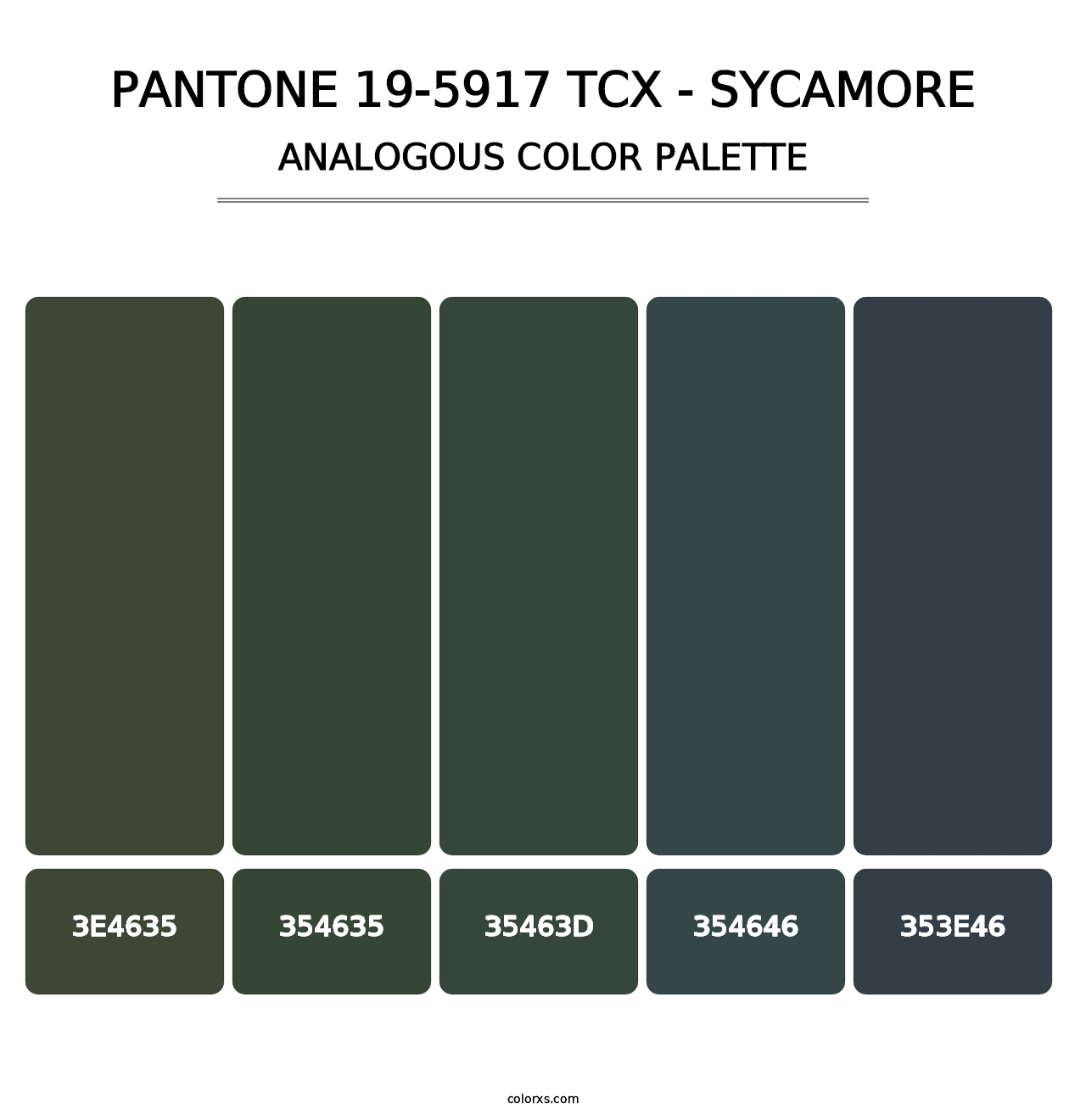PANTONE 19-5917 TCX - Sycamore - Analogous Color Palette