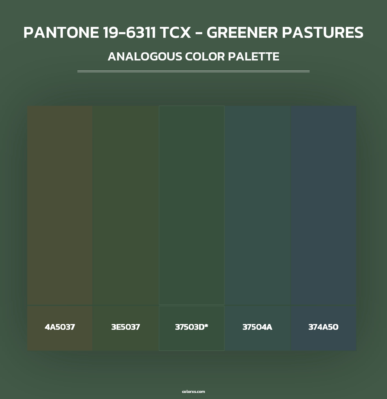 PANTONE 19-6311 TCX - Greener Pastures - Analogous Color Palette