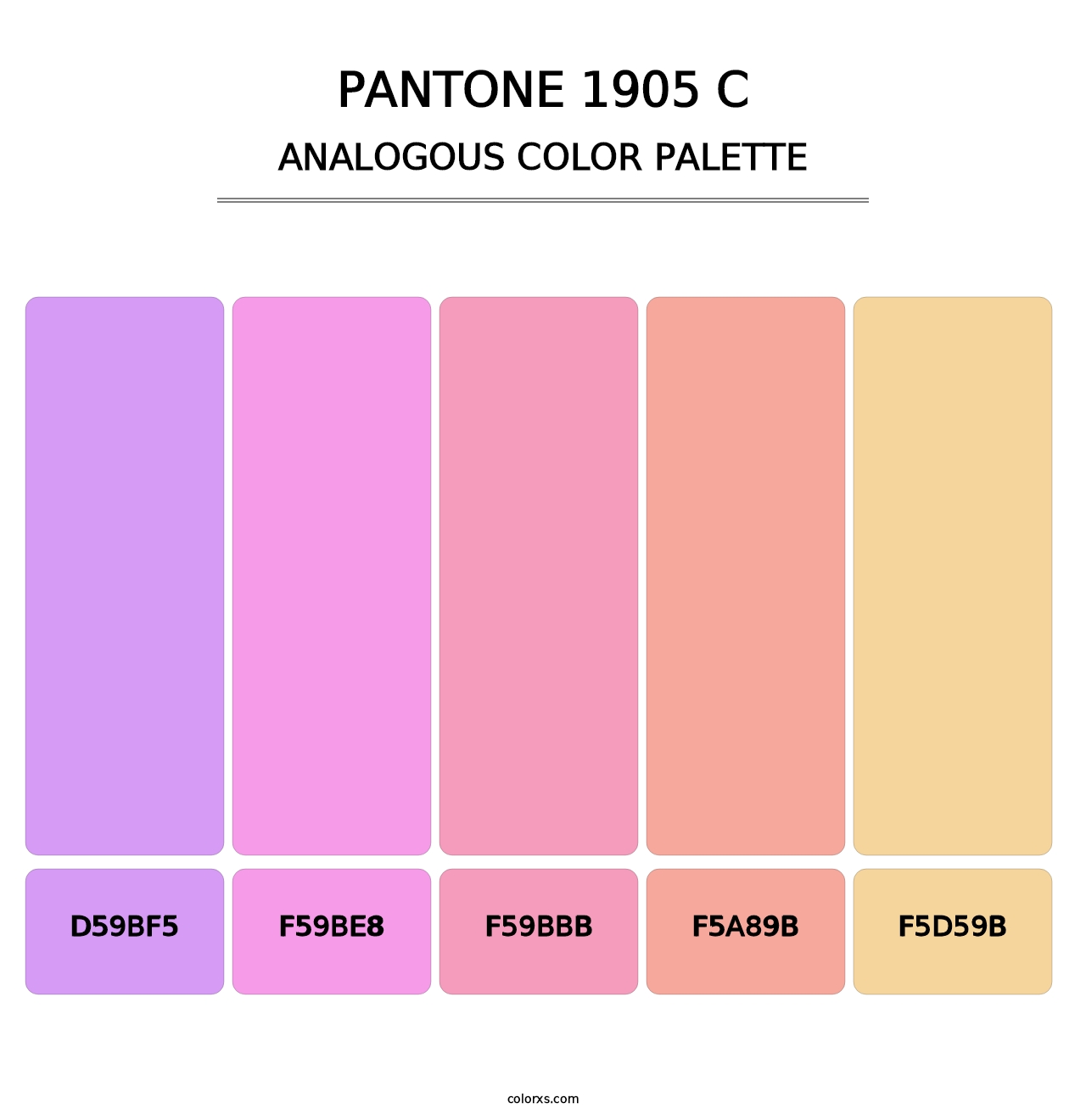 PANTONE 1905 C - Analogous Color Palette