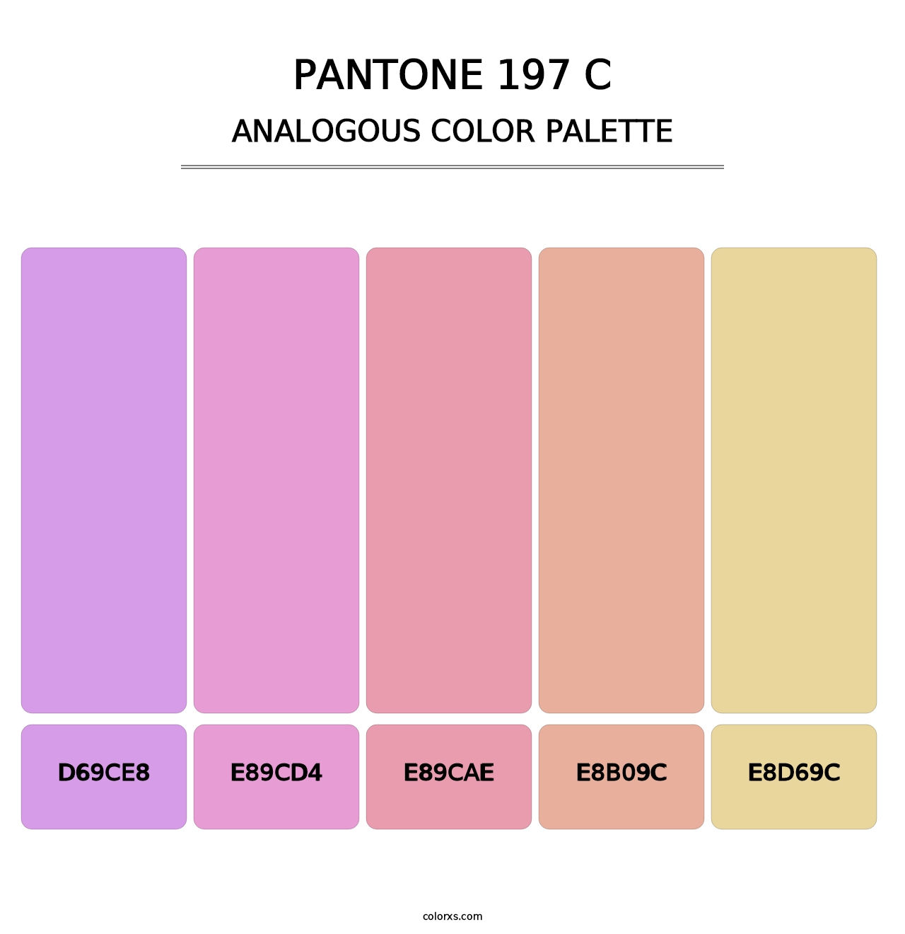 PANTONE 197 C - Analogous Color Palette