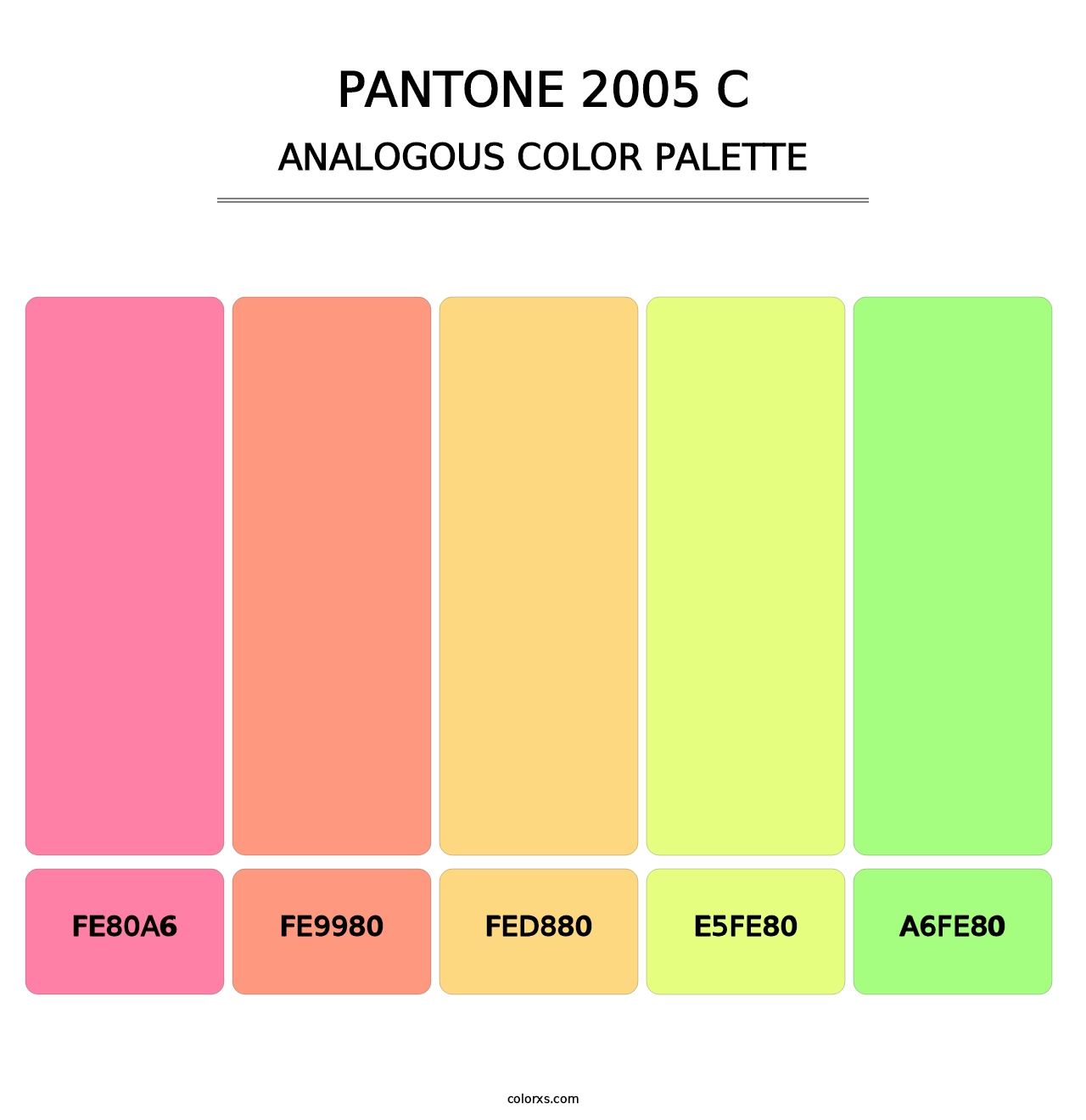PANTONE 2005 C - Analogous Color Palette