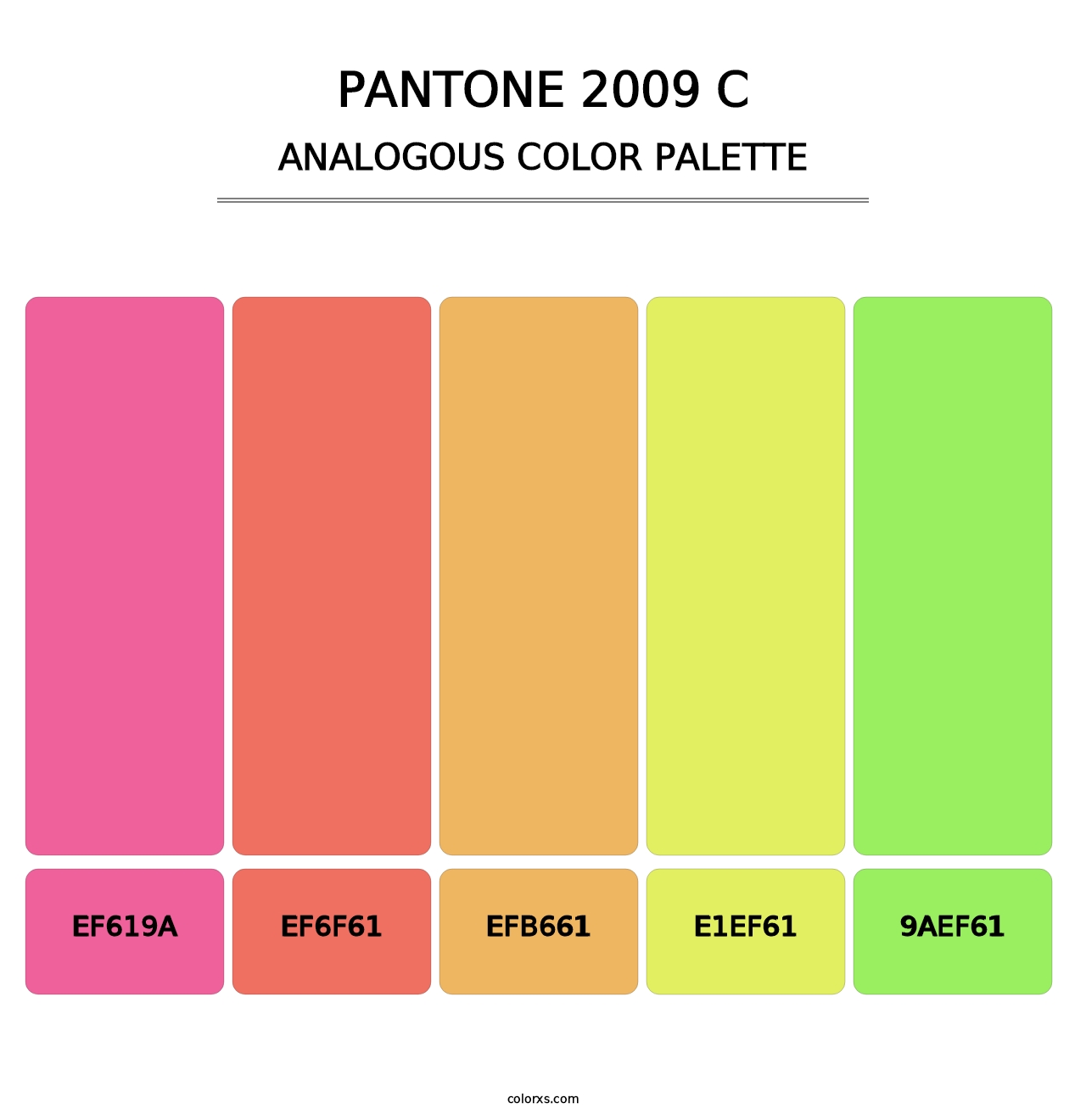 PANTONE 2009 C - Analogous Color Palette