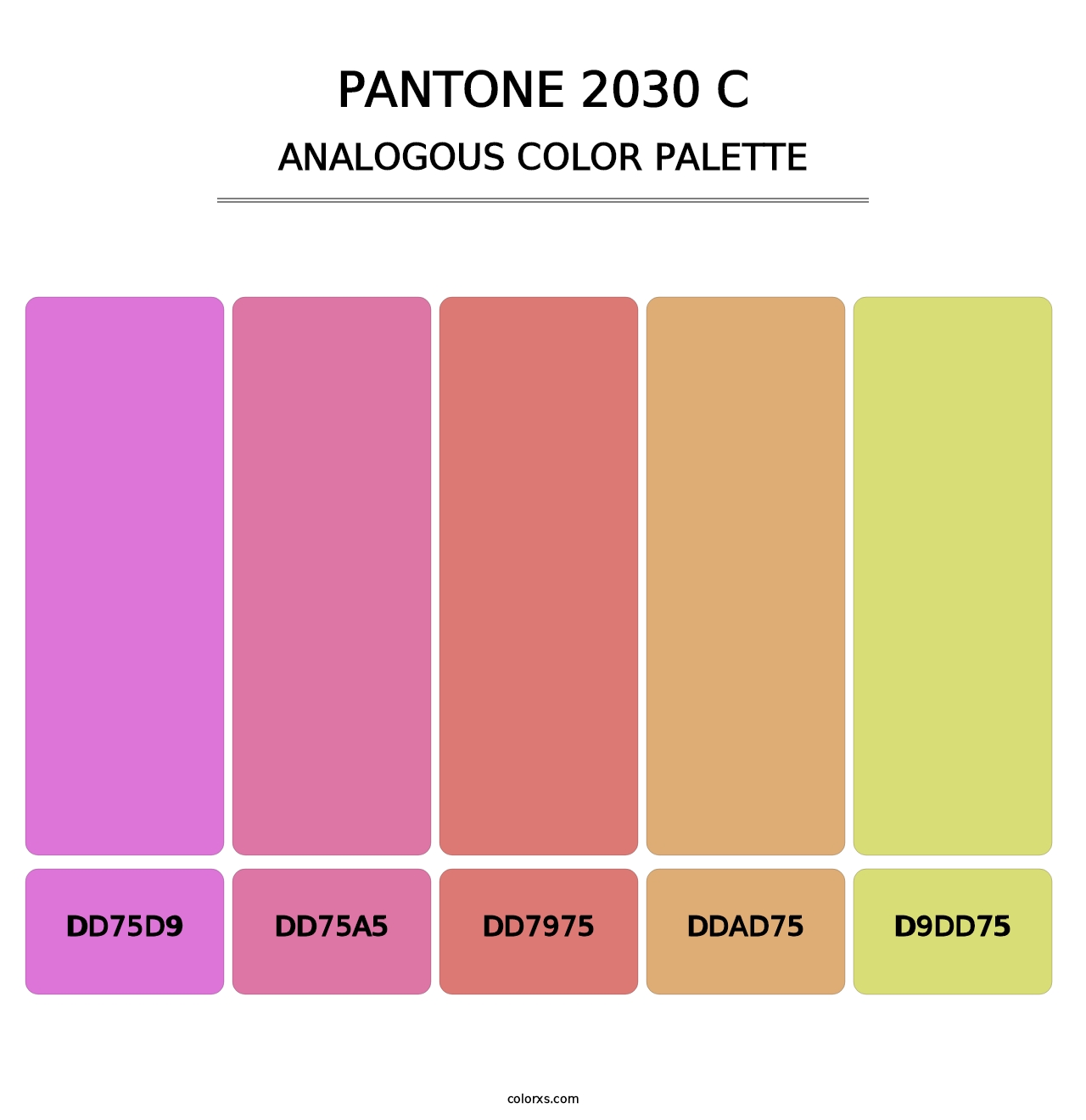 PANTONE 2030 C - Analogous Color Palette