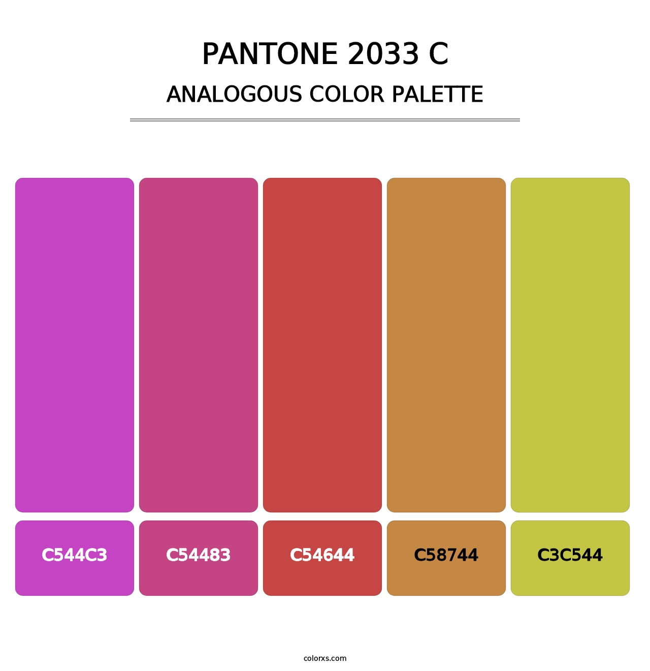 PANTONE 2033 C - Analogous Color Palette