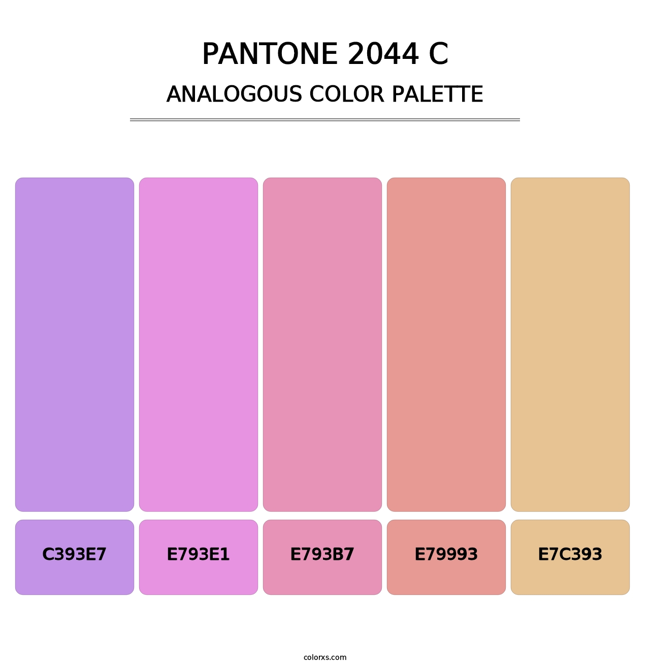 PANTONE 2044 C - Analogous Color Palette