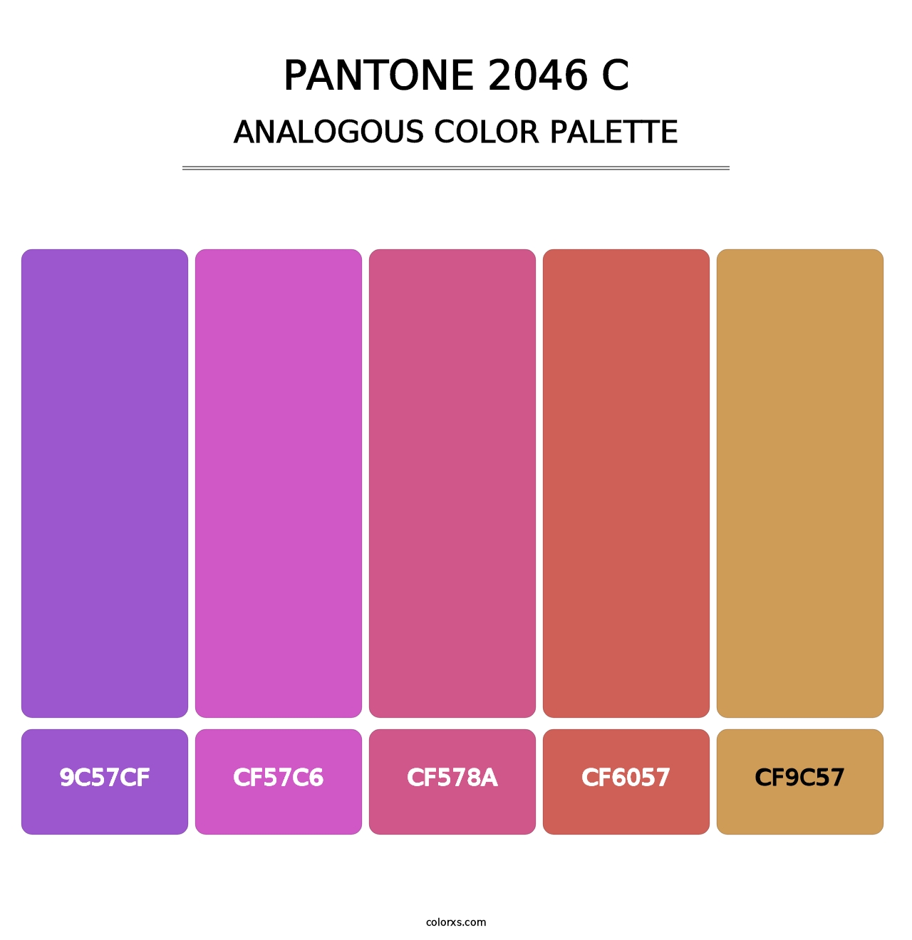 PANTONE 2046 C - Analogous Color Palette