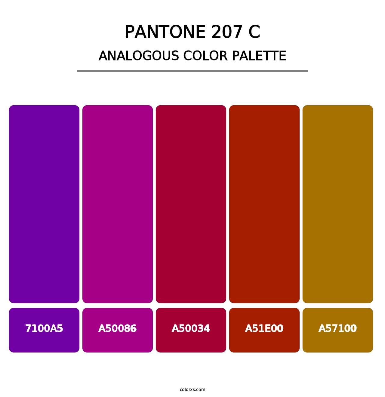 PANTONE 207 C - Analogous Color Palette