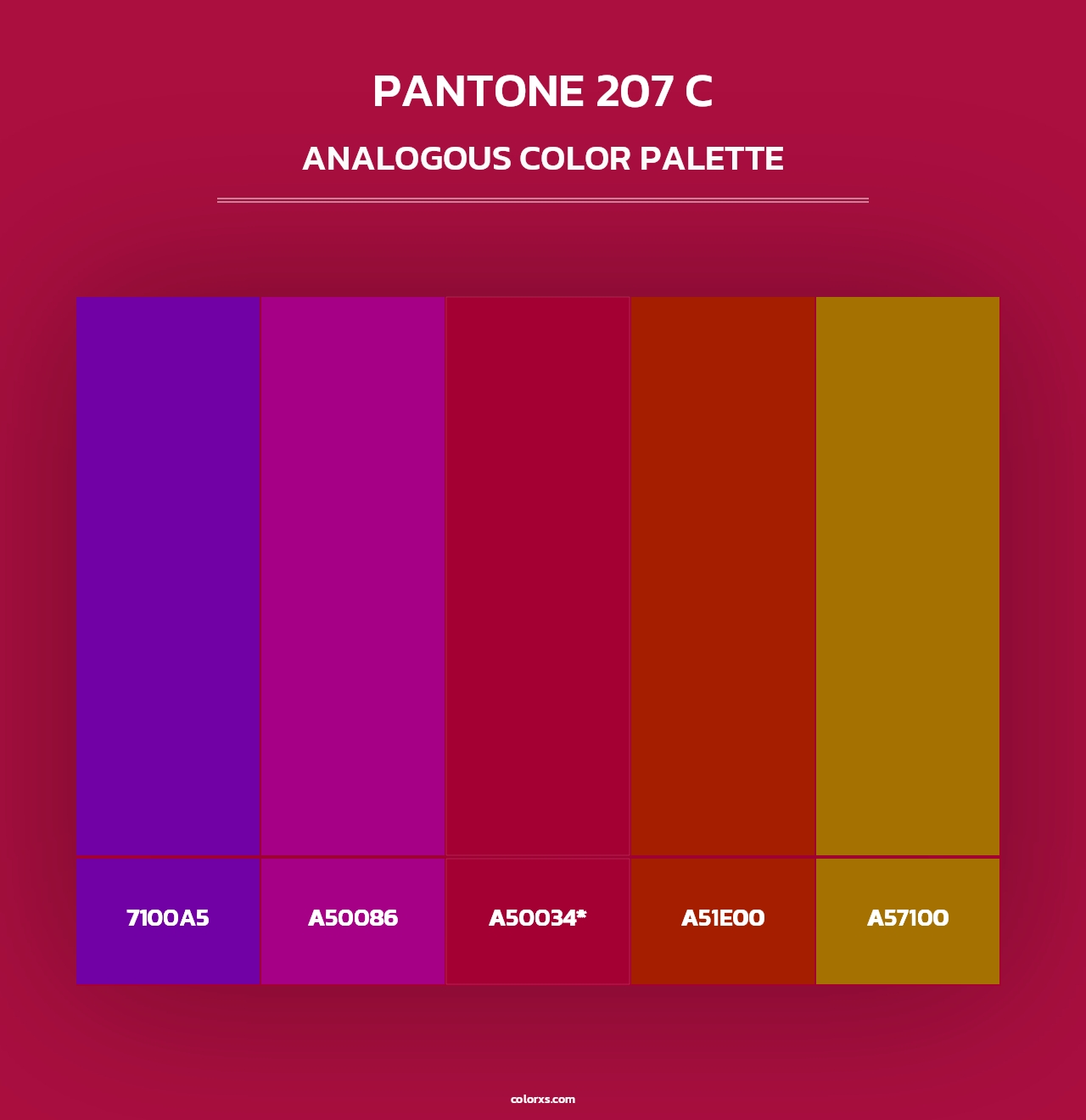 PANTONE 207 C - Analogous Color Palette