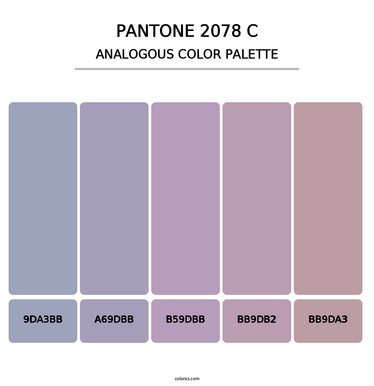 PANTONE 2078 C - Analogous Color Palette