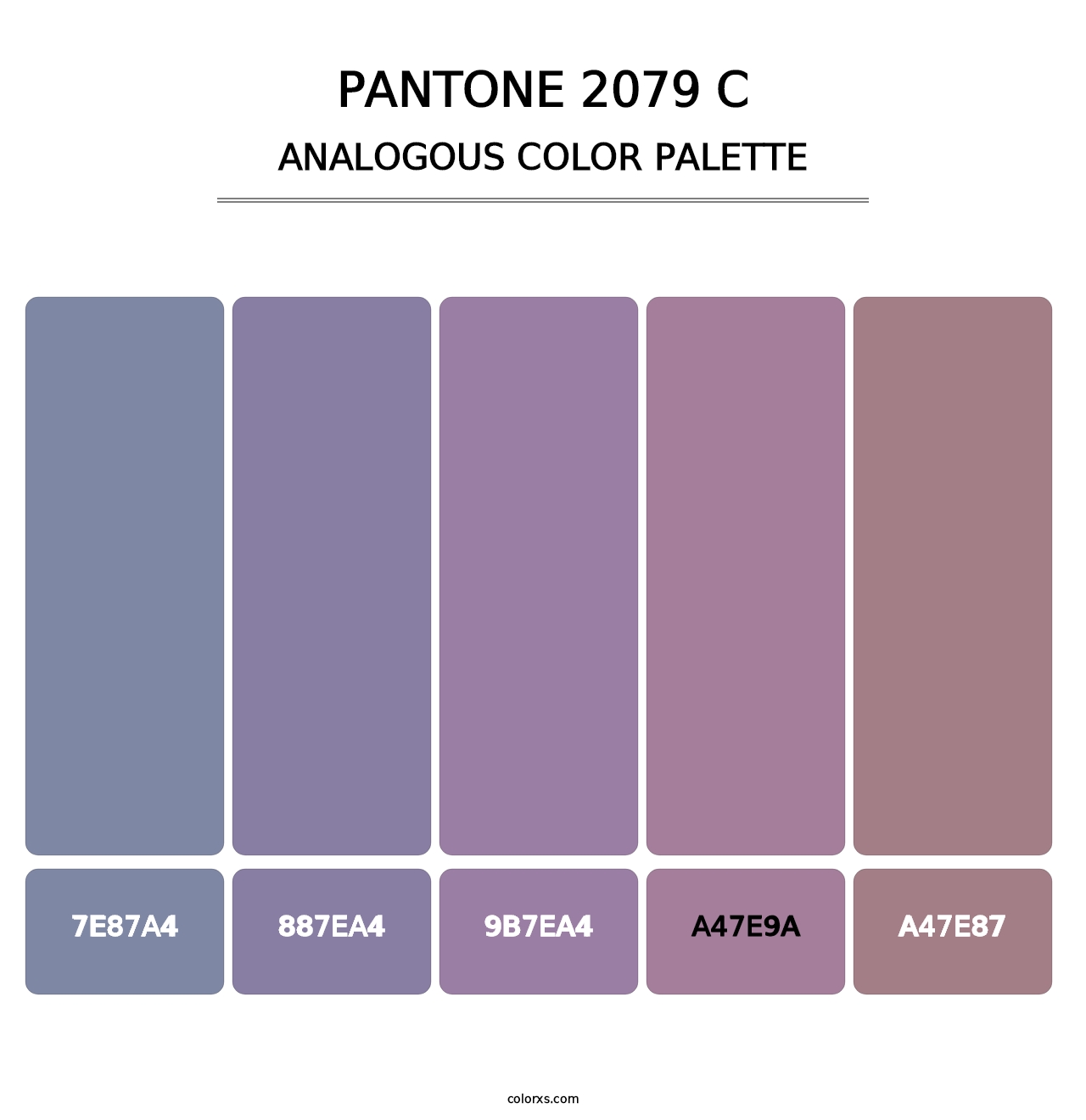 PANTONE 2079 C - Analogous Color Palette