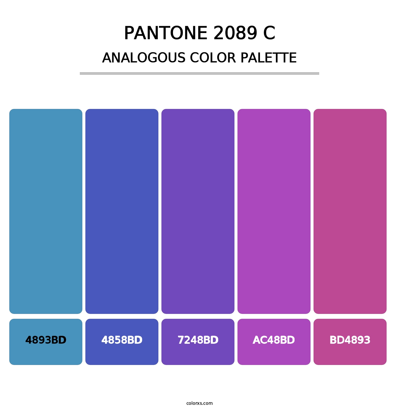 PANTONE 2089 C - Analogous Color Palette