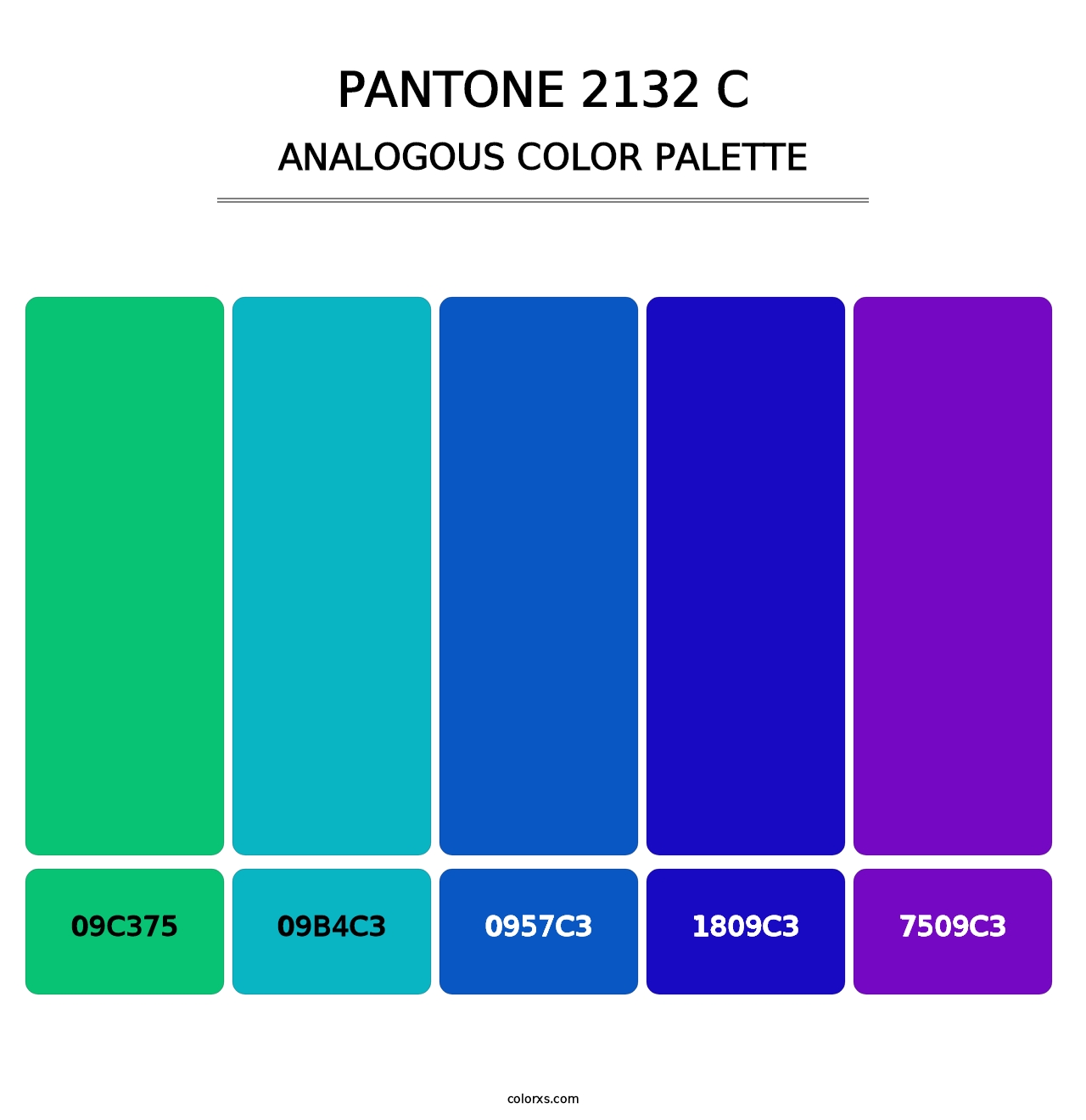 PANTONE 2132 C - Analogous Color Palette