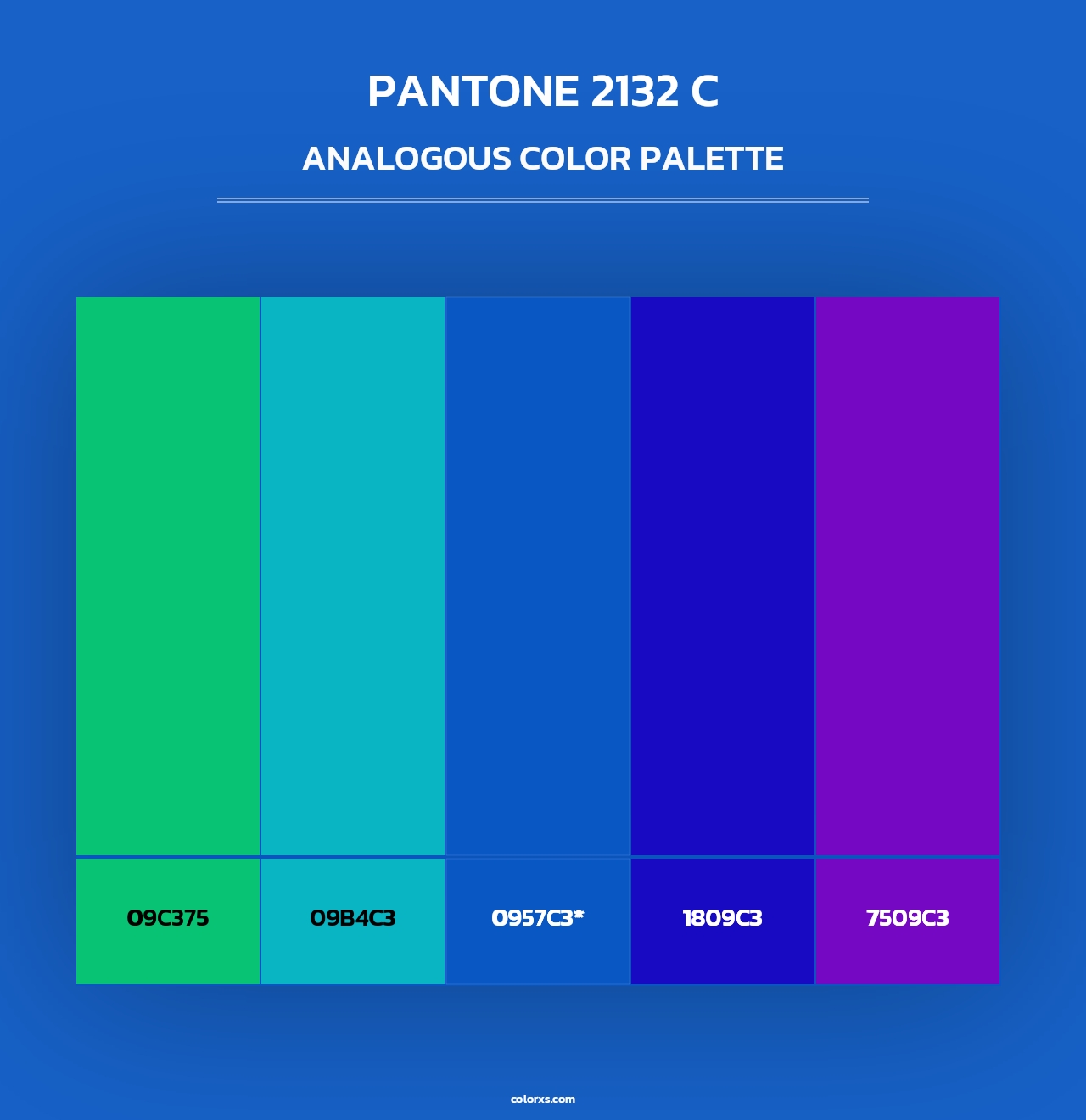 PANTONE 2132 C - Analogous Color Palette
