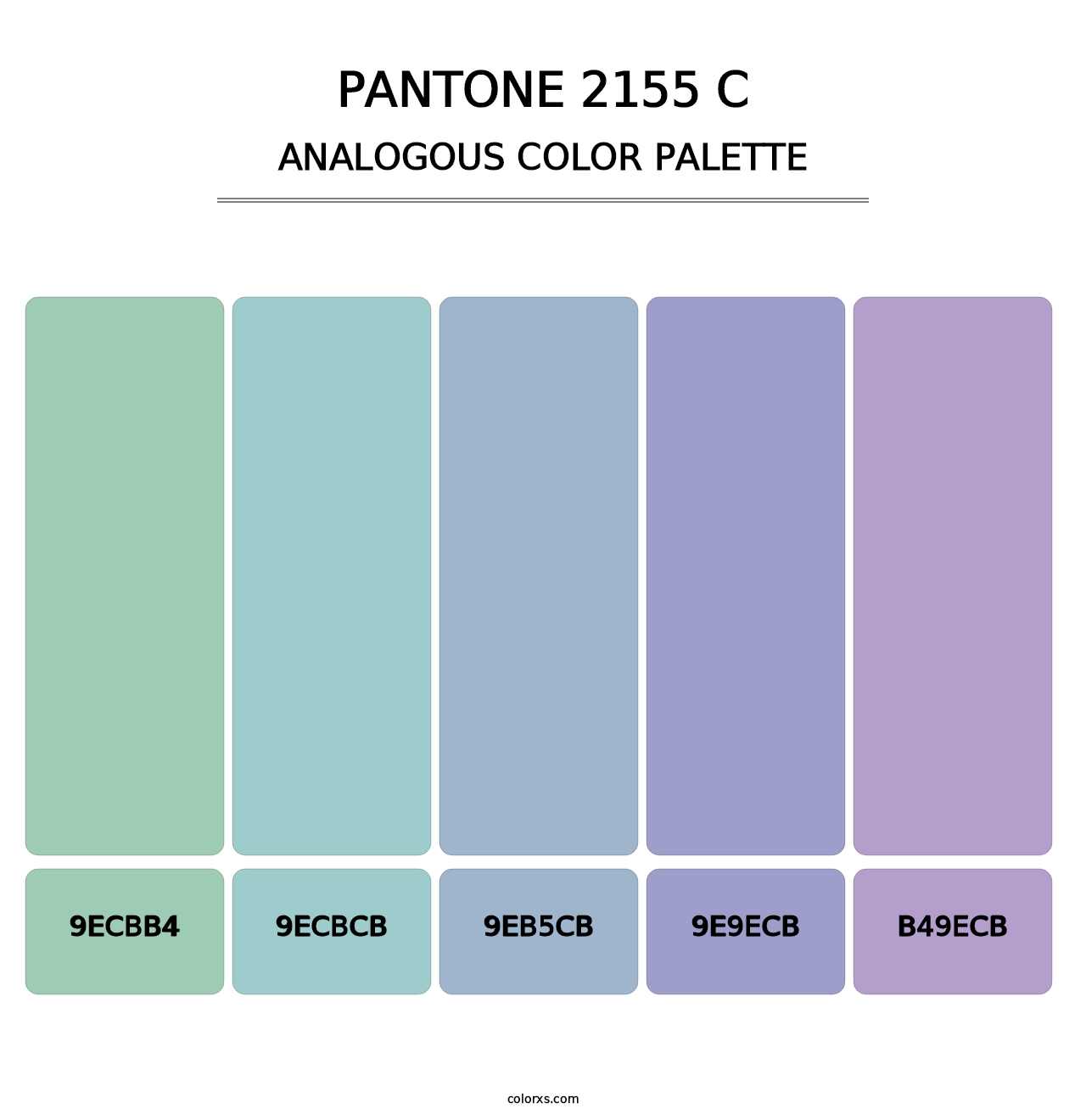 PANTONE 2155 C - Analogous Color Palette
