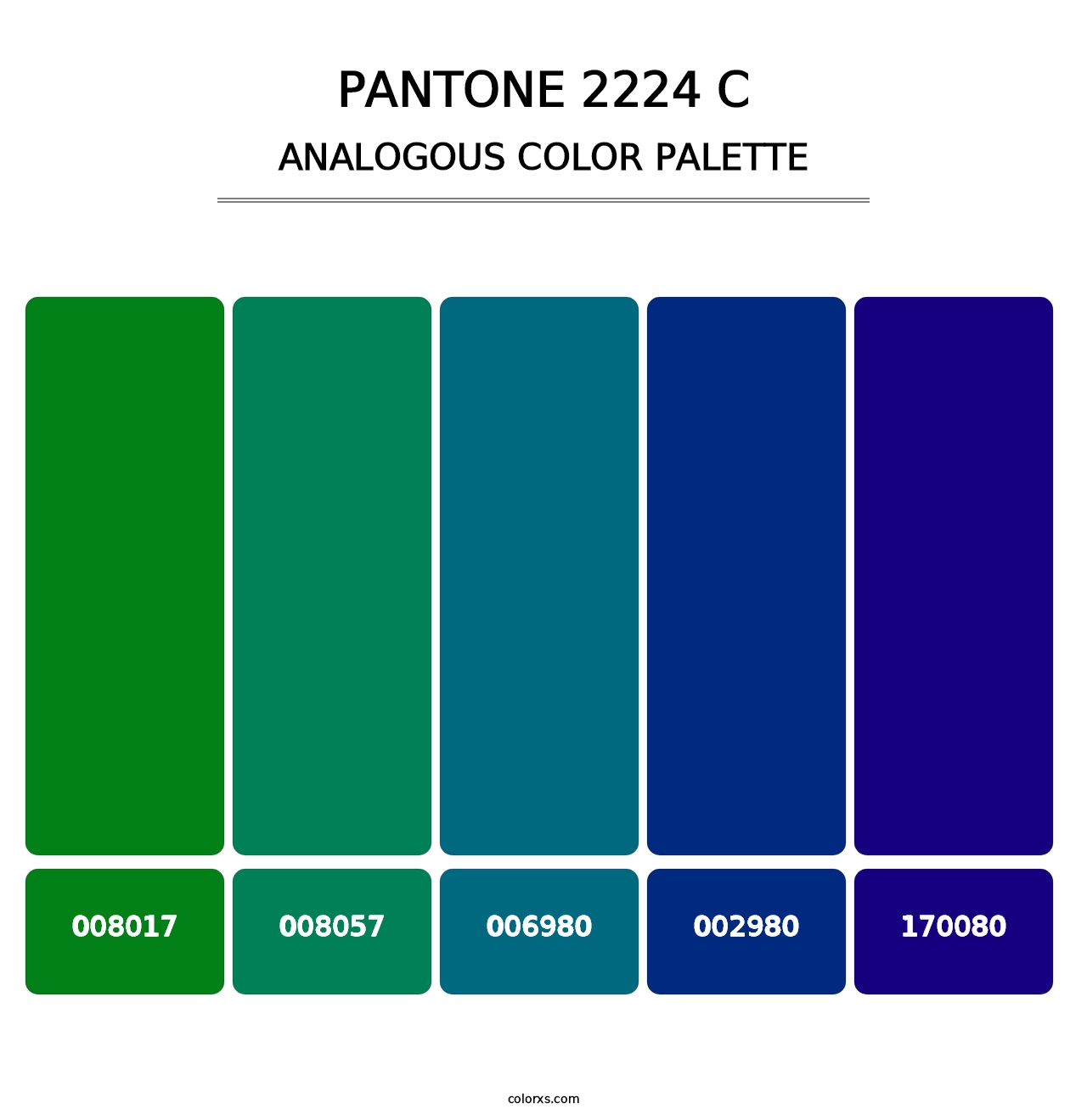 PANTONE 2224 C - Analogous Color Palette