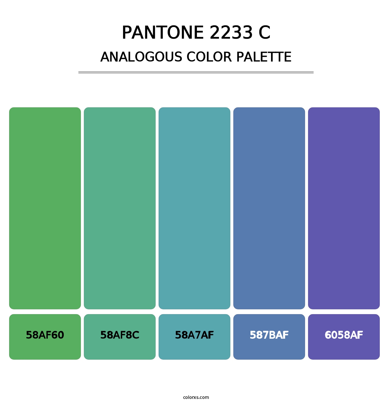 PANTONE 2233 C - Analogous Color Palette