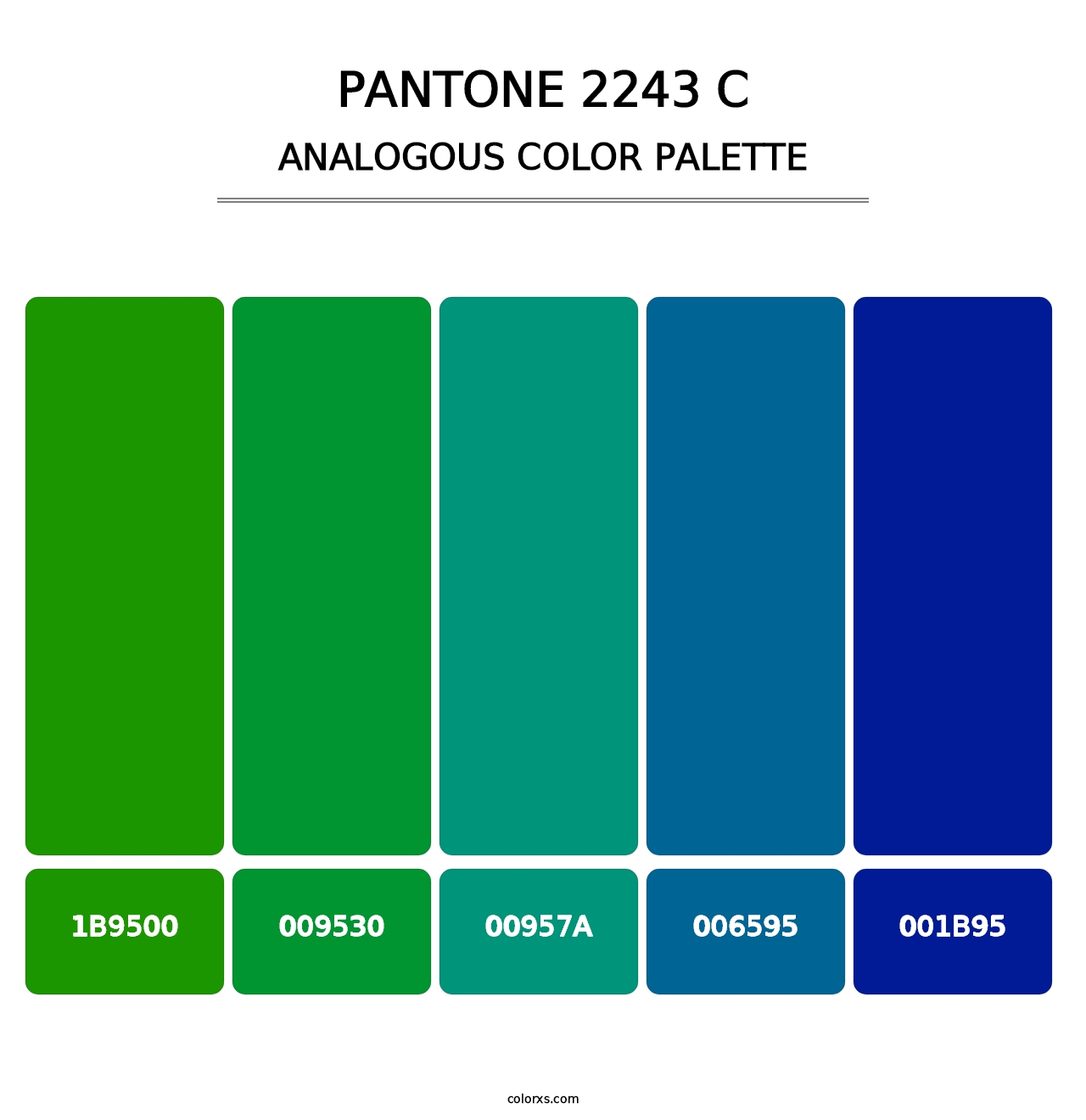 PANTONE 2243 C - Analogous Color Palette