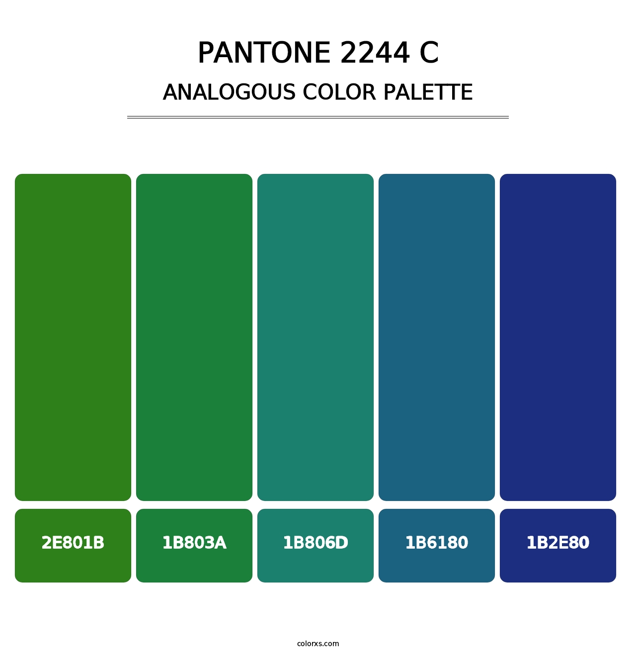 PANTONE 2244 C - Analogous Color Palette
