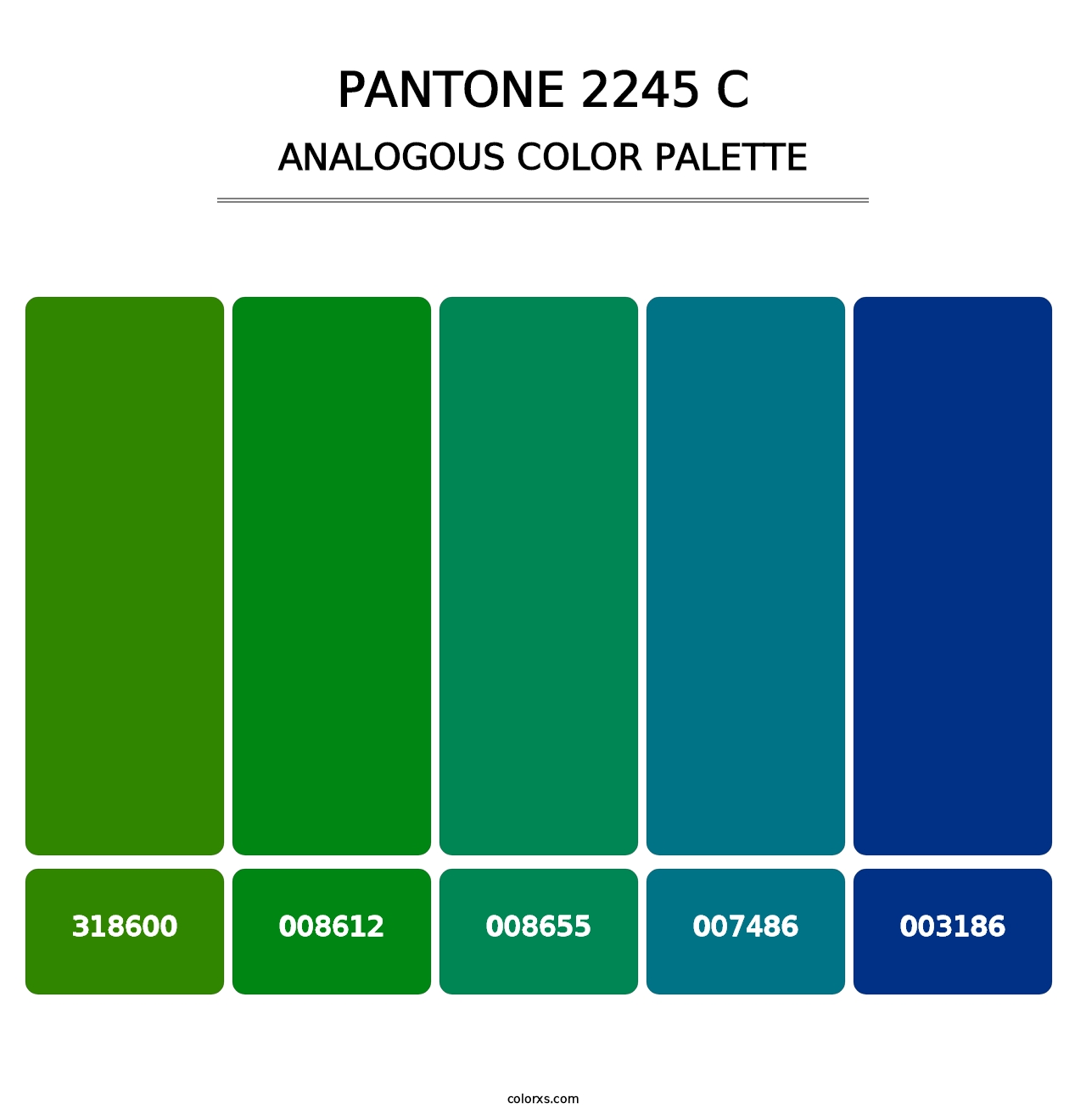 PANTONE 2245 C - Analogous Color Palette