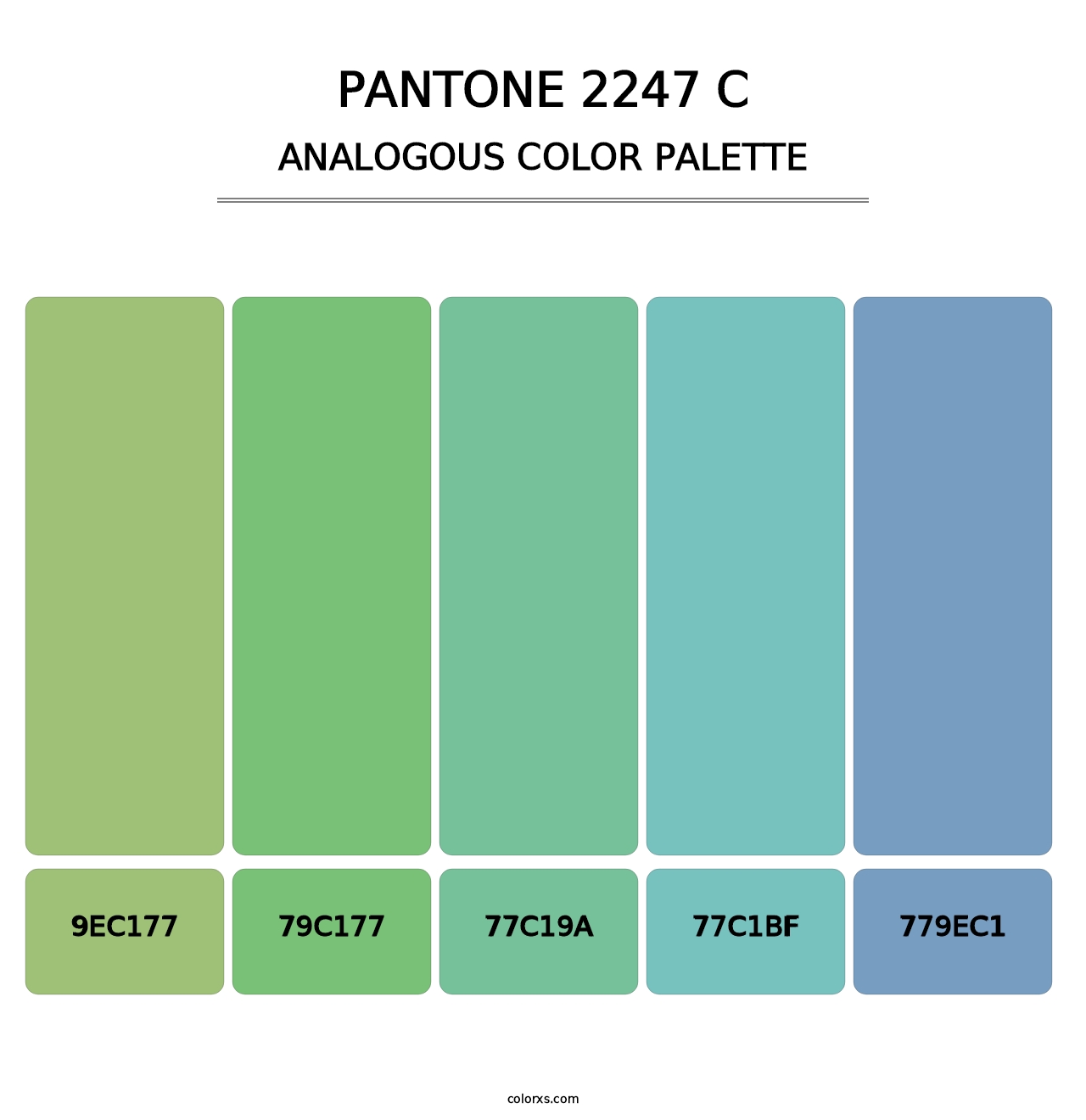 PANTONE 2247 C - Analogous Color Palette