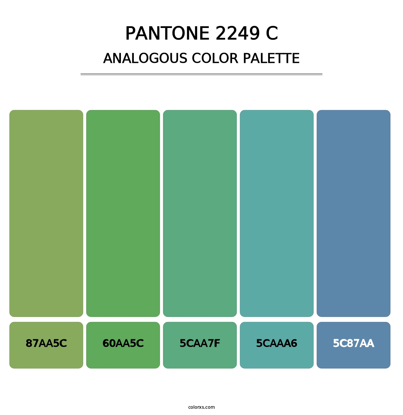 PANTONE 2249 C - Analogous Color Palette