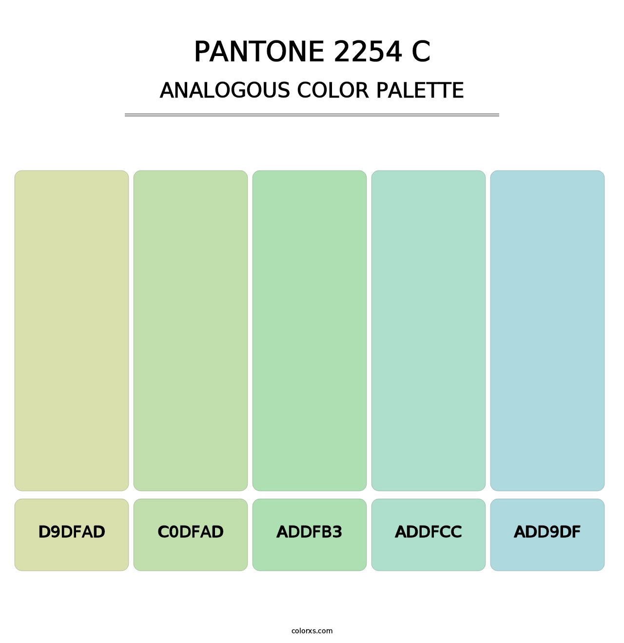 PANTONE 2254 C - Analogous Color Palette