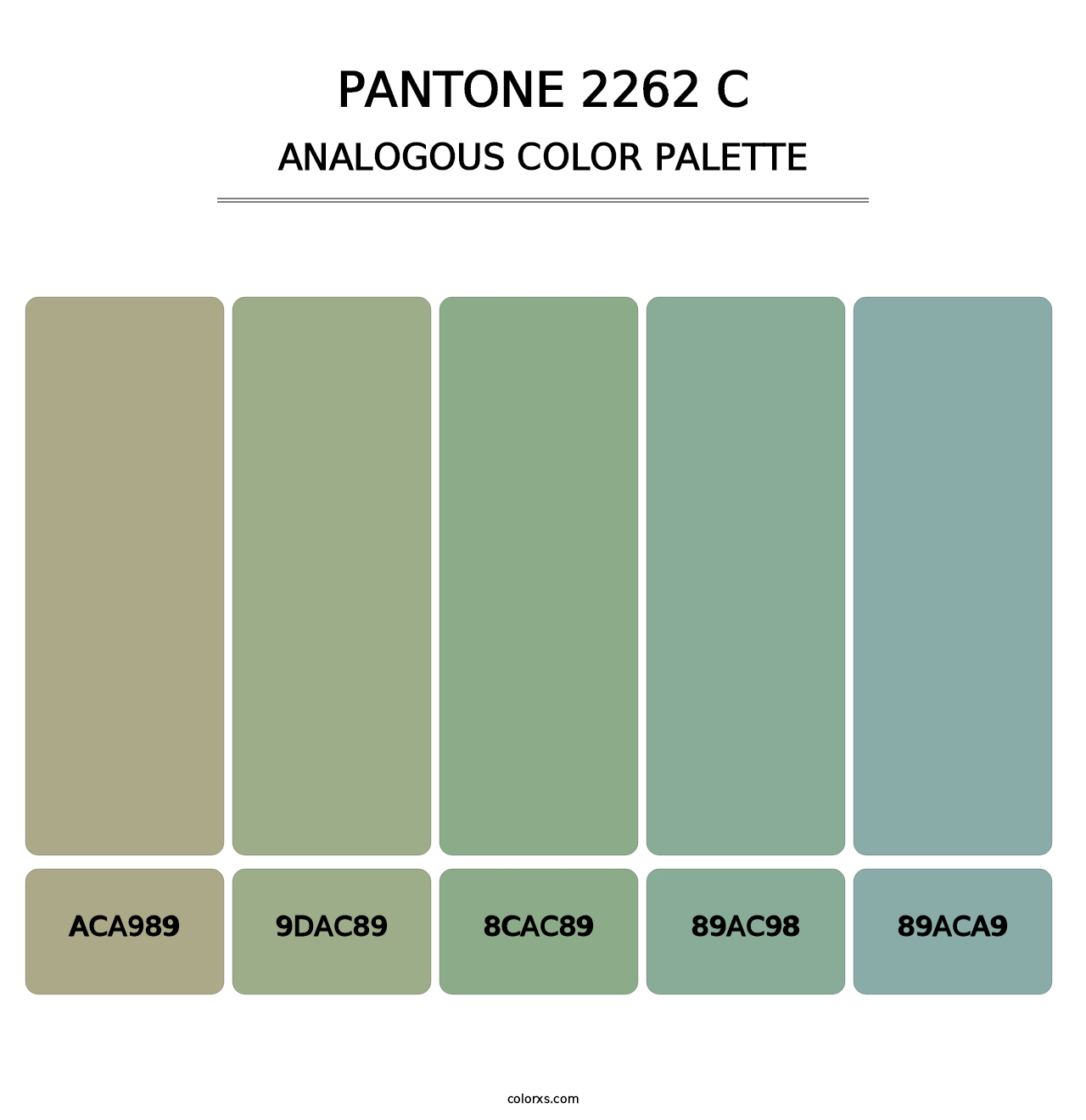 PANTONE 2262 C - Analogous Color Palette