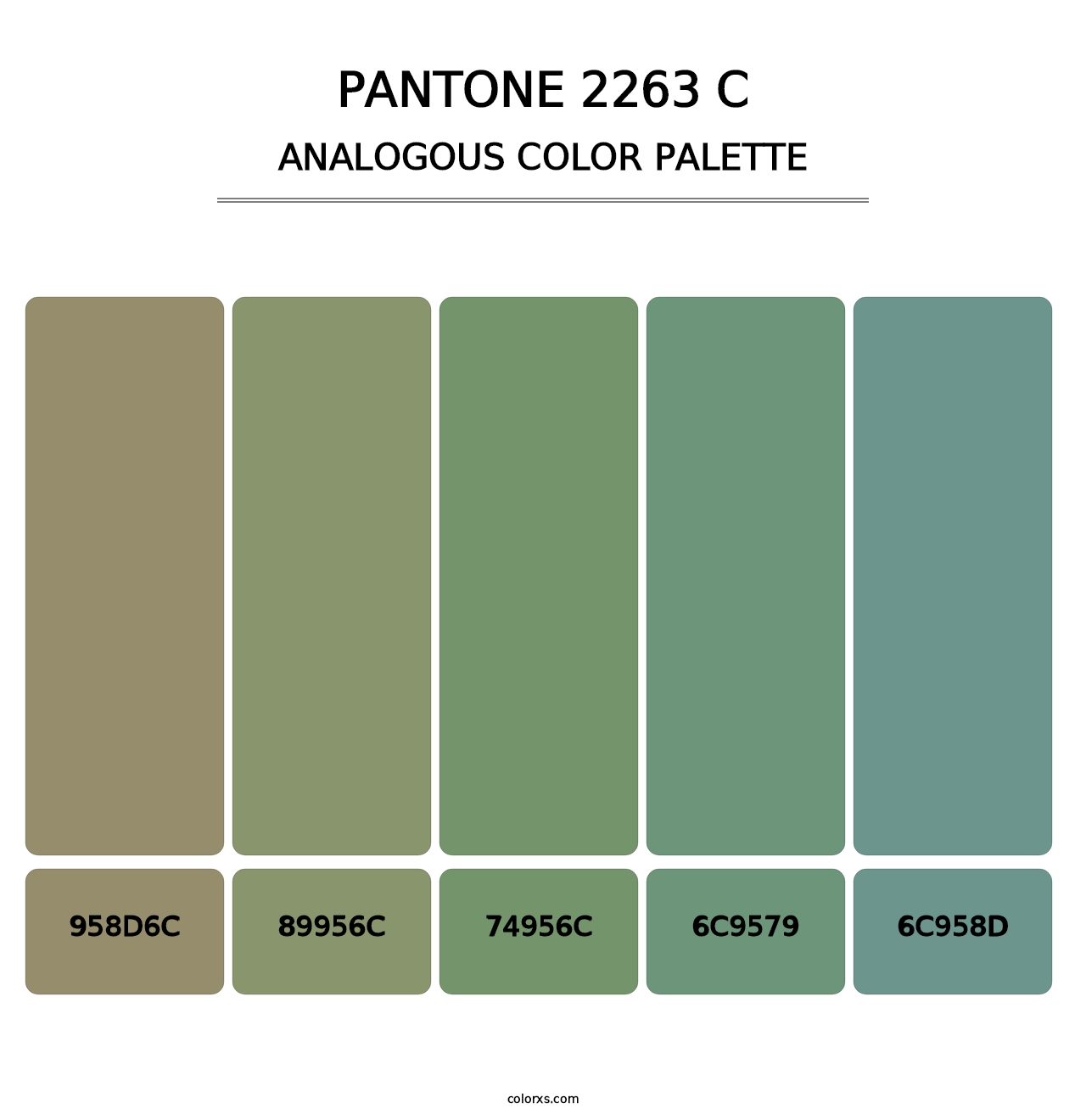 PANTONE 2263 C - Analogous Color Palette